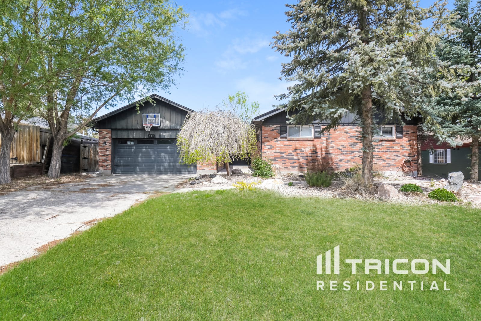 343 Brigitte Drive Northglenn CO