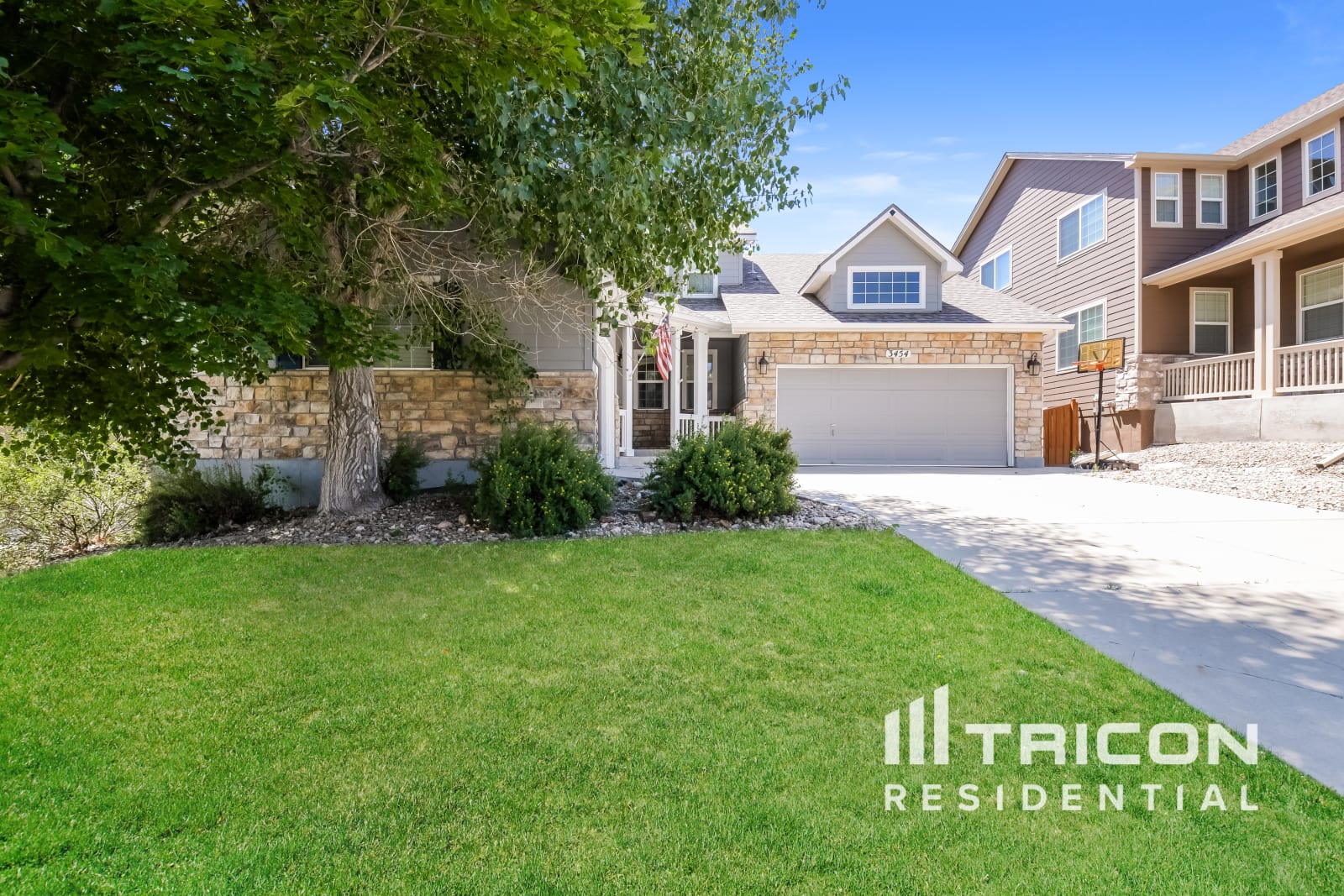 3454 Dove Valley Pl Castle Rock CO