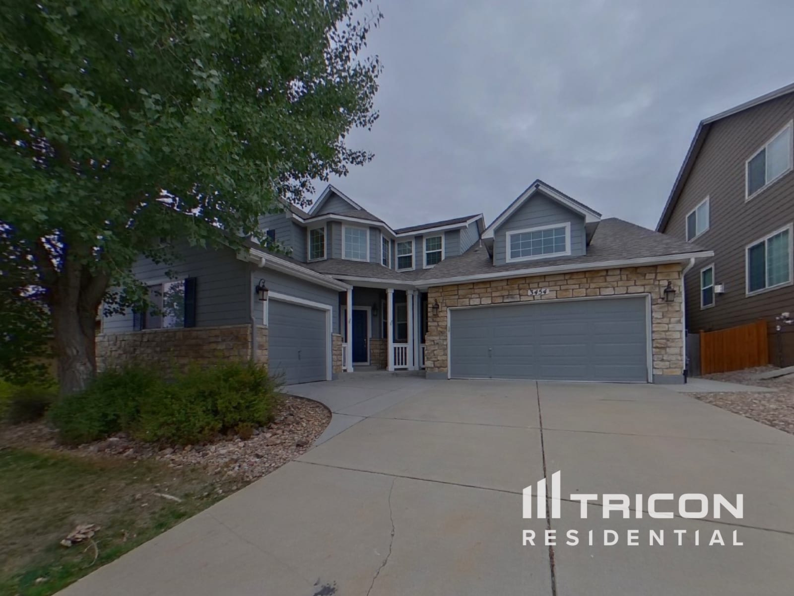 3454 Dove Valley Pl Castle Rock CO