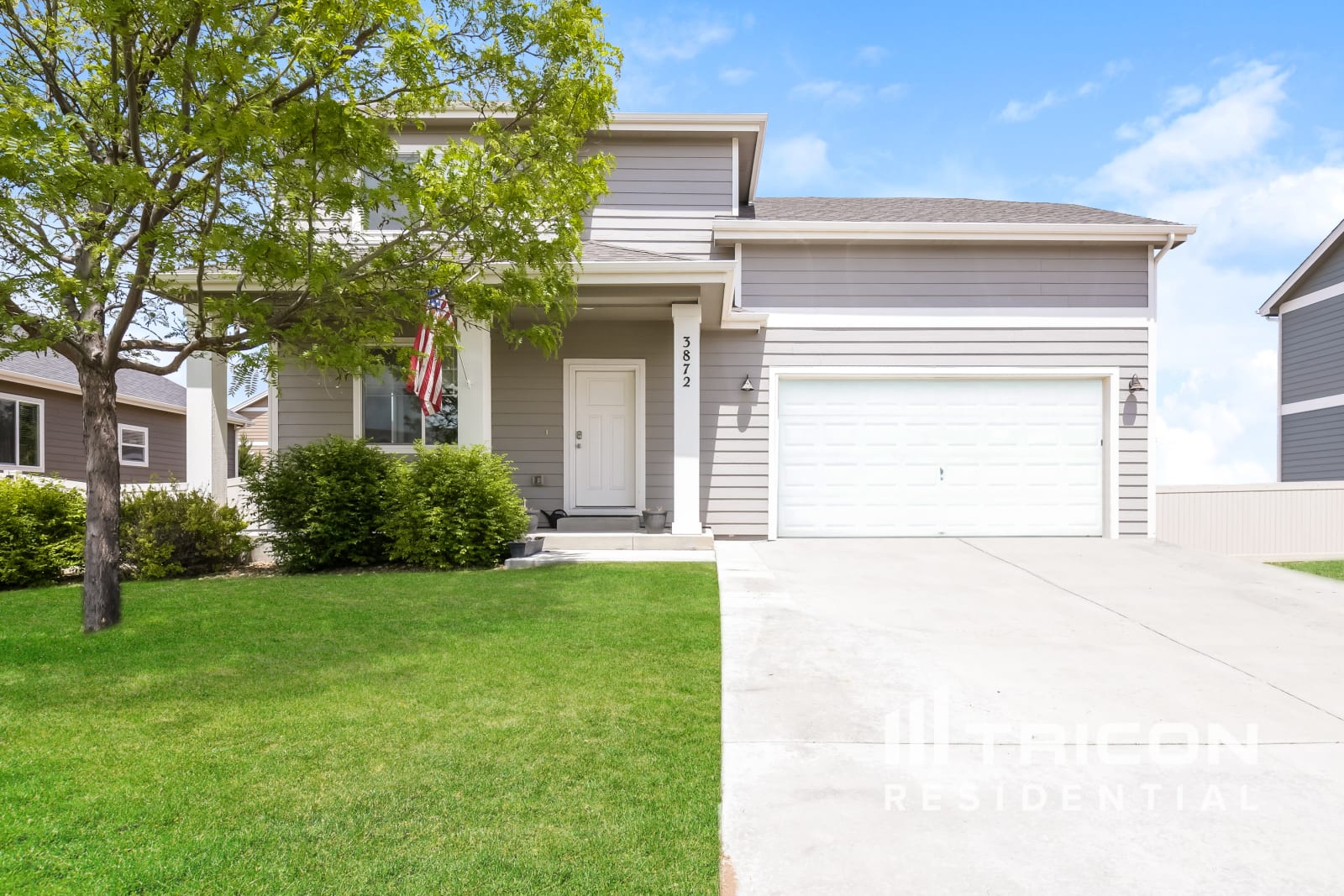 3872 Ginkgo Street Wellington CO