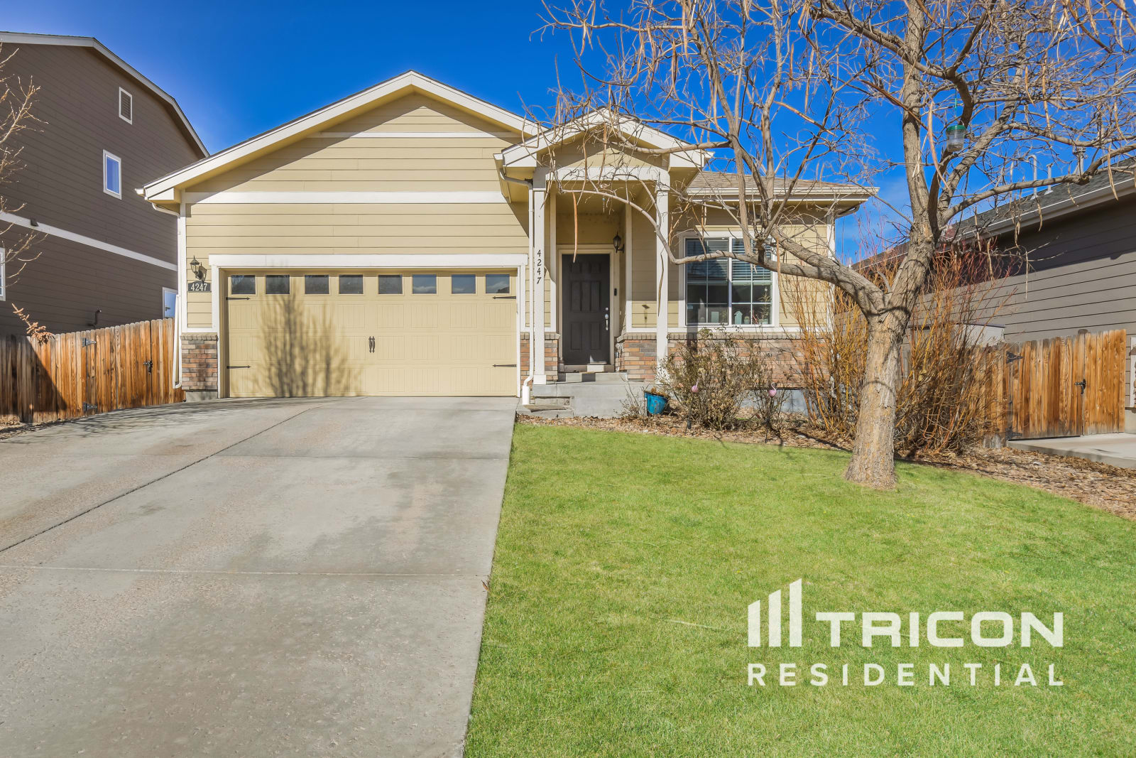 4247 E 95Th Drive Thornton CO