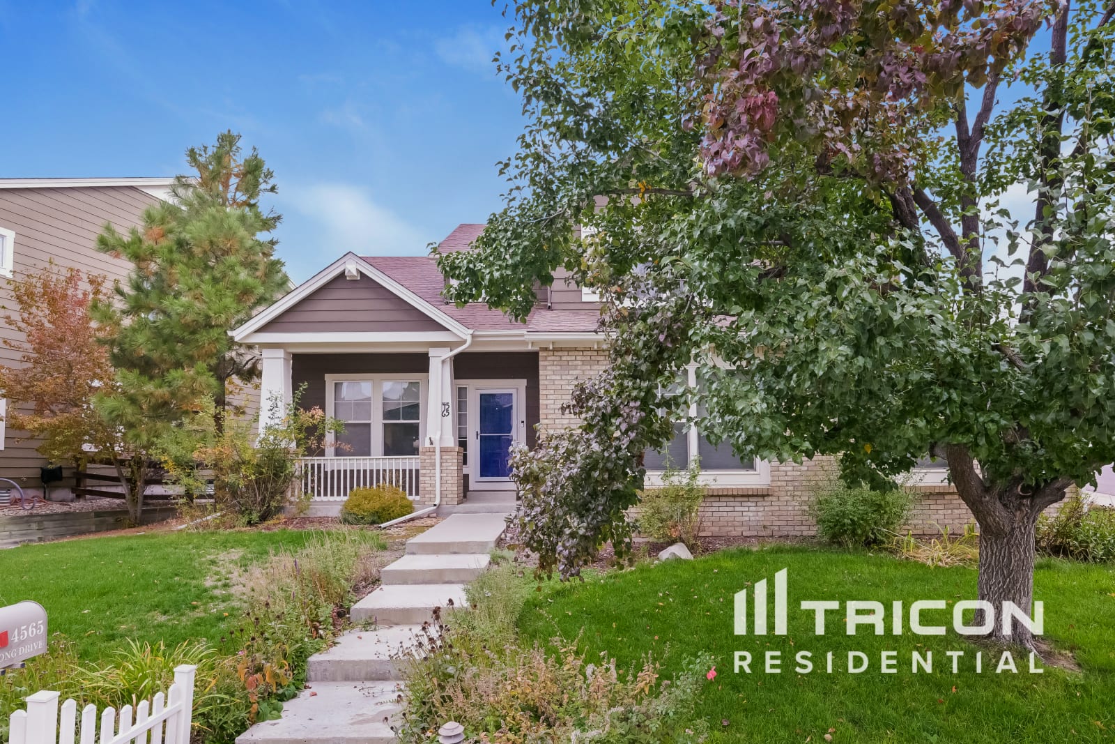 4565 Larksong Drive Castle Rock CO