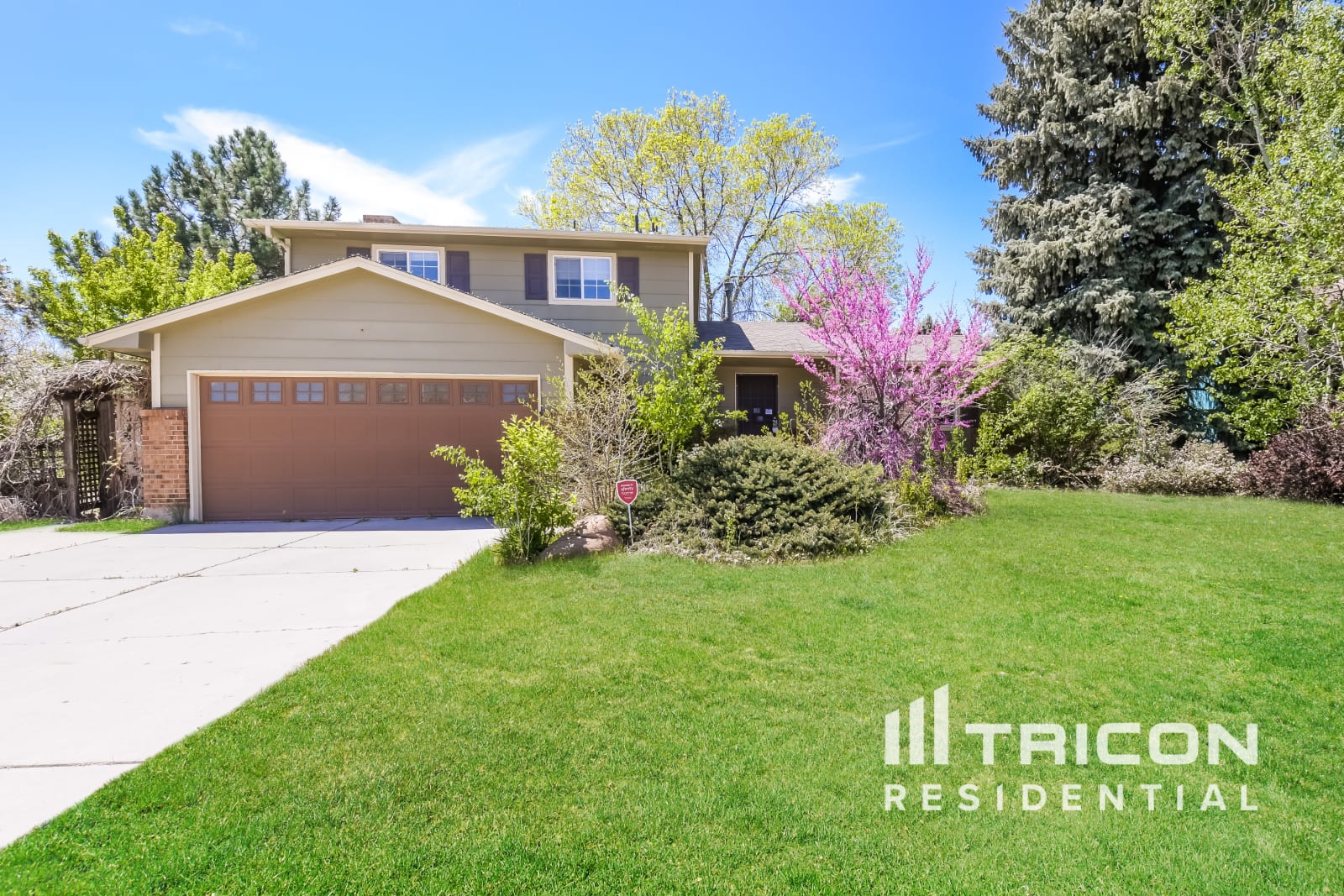 513 Palisade Mountain Dr Windsor CO