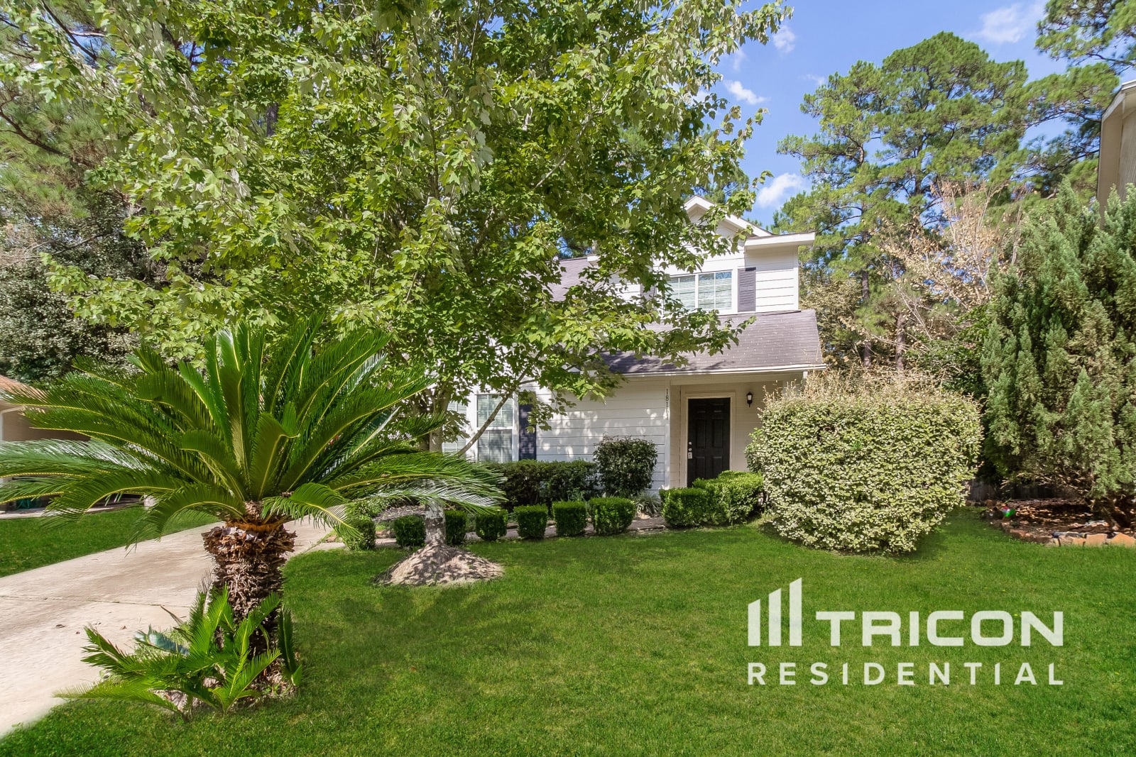 18167 Woodsdale Court Porter TX
