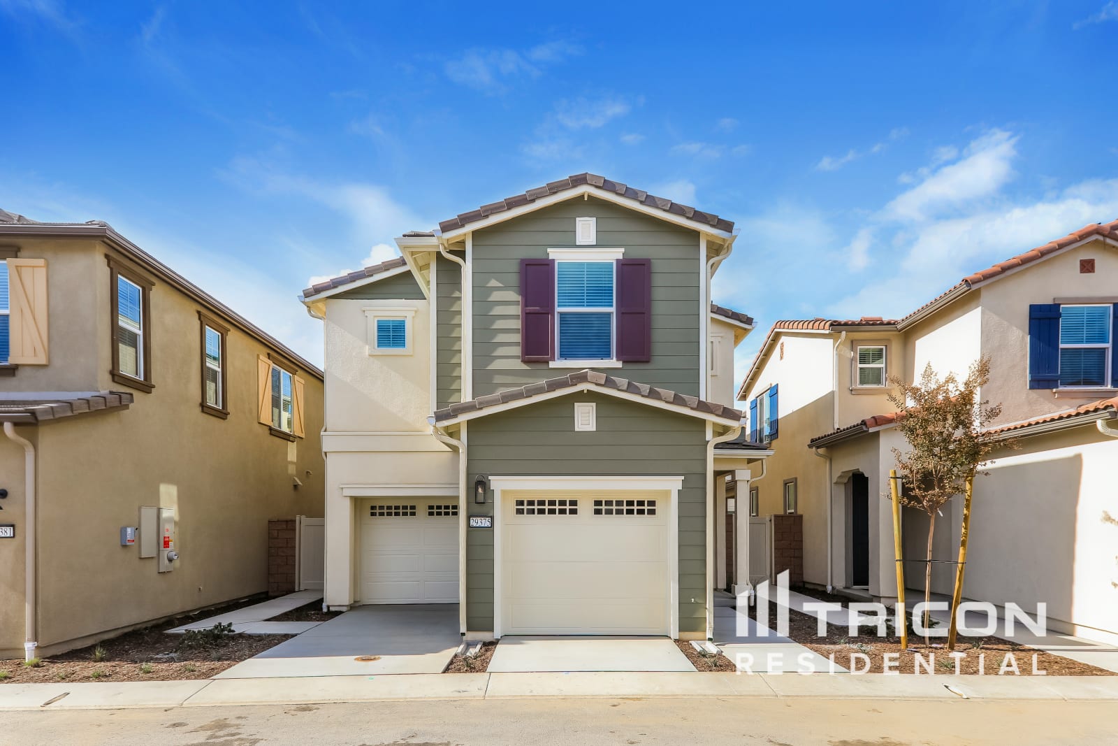 29375 Cumaru Ct Winchester CA