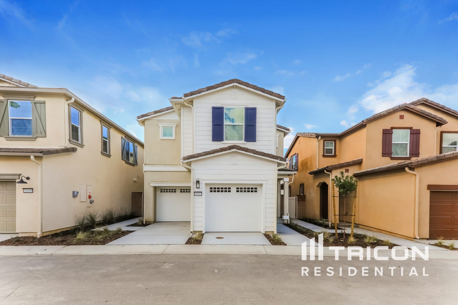 29403 Walnut Tree Way Winchester CA