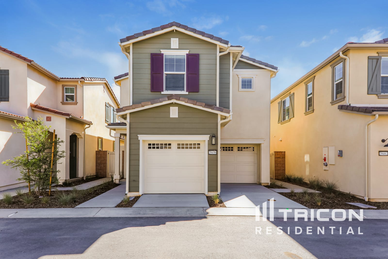 29456 White Ash Ct Winchester CA