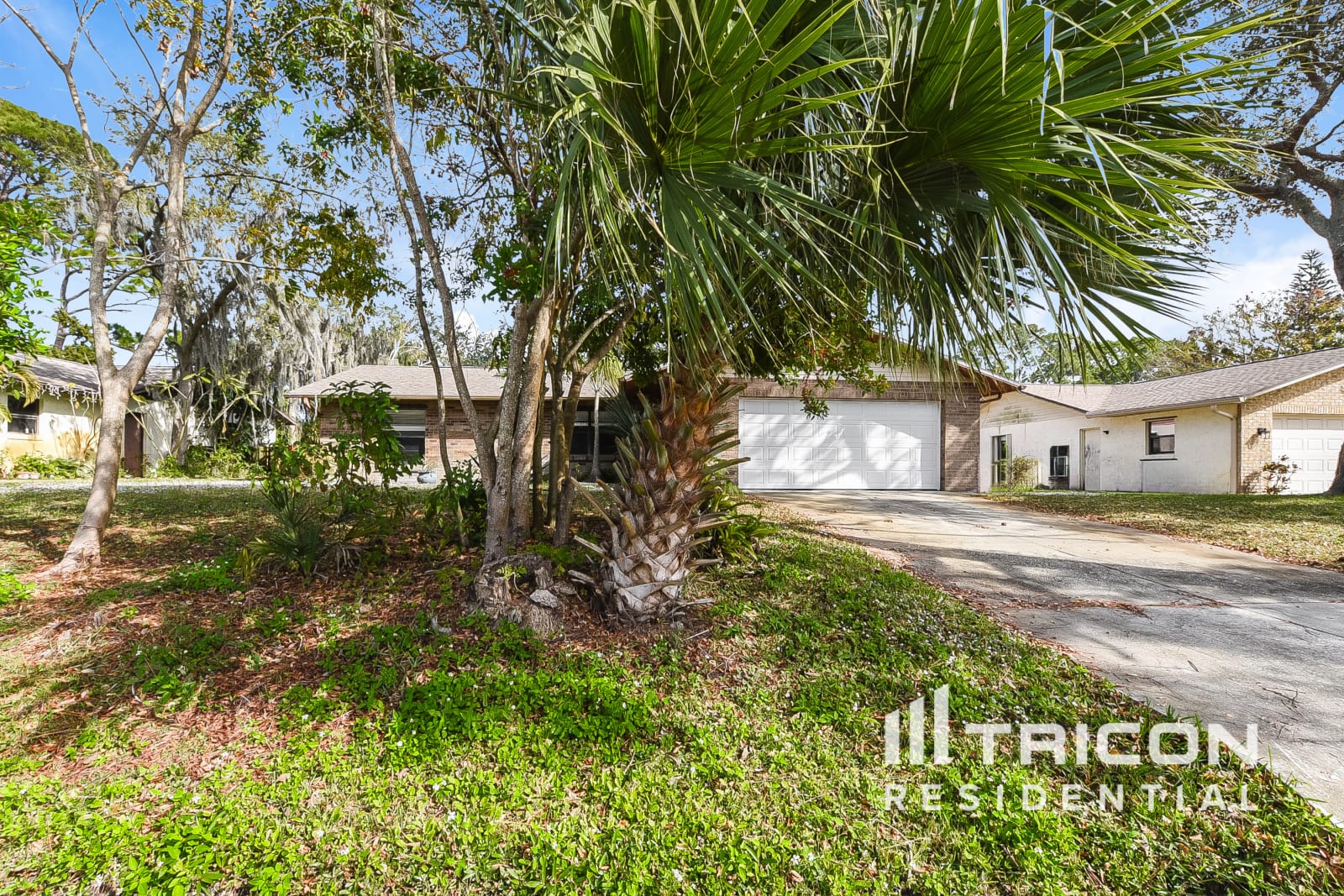 2933 Sabal Palm Drive Edgewater FL