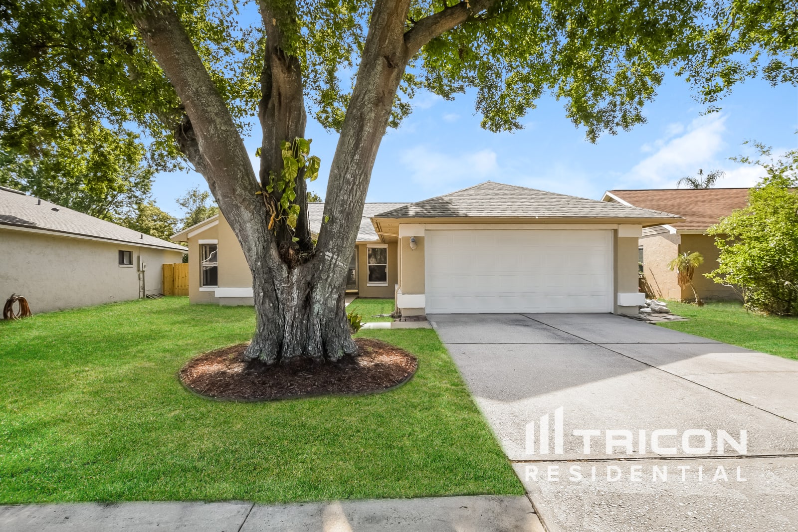 1007 Black Willow Drive Oviedo FL