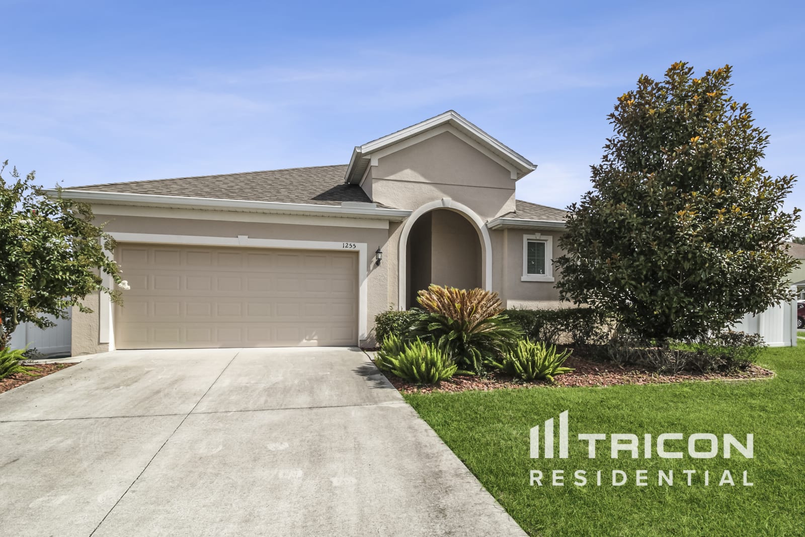 1255 Merion Drive Mount Dora FL