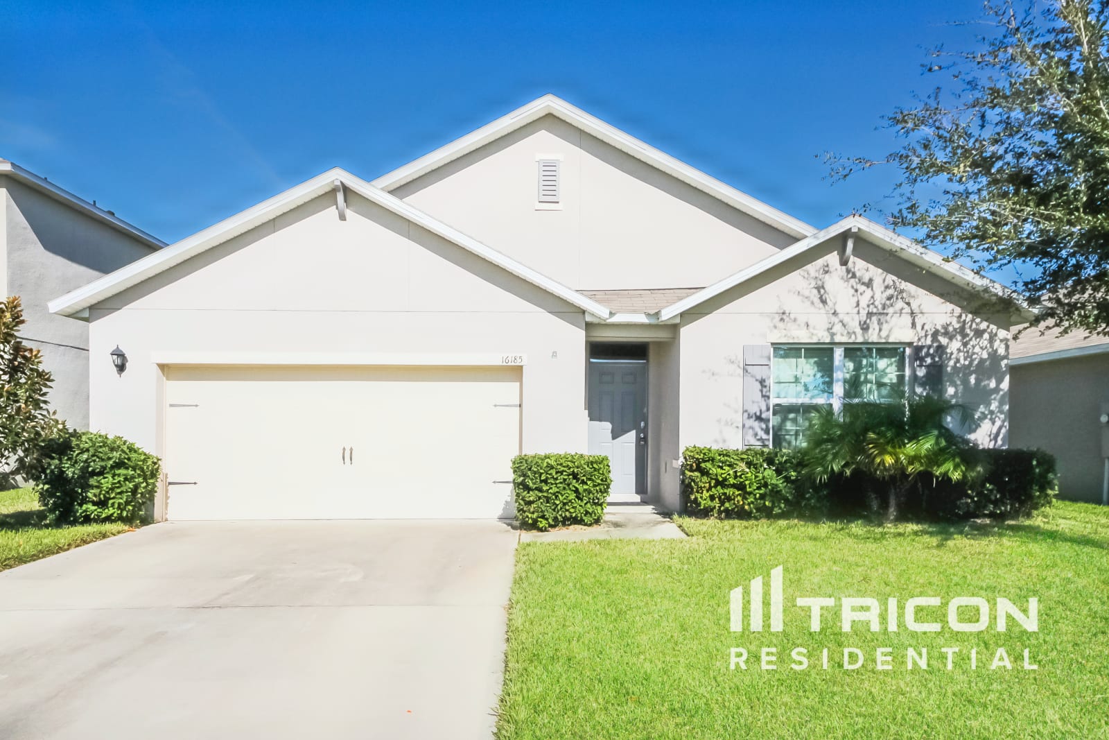 16185 Yelloweyed Drive Clermont FL