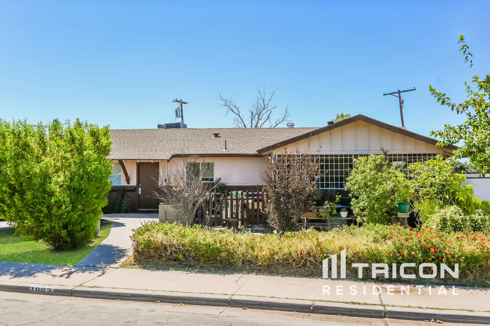 1005 Solomon -- Mesa AZ