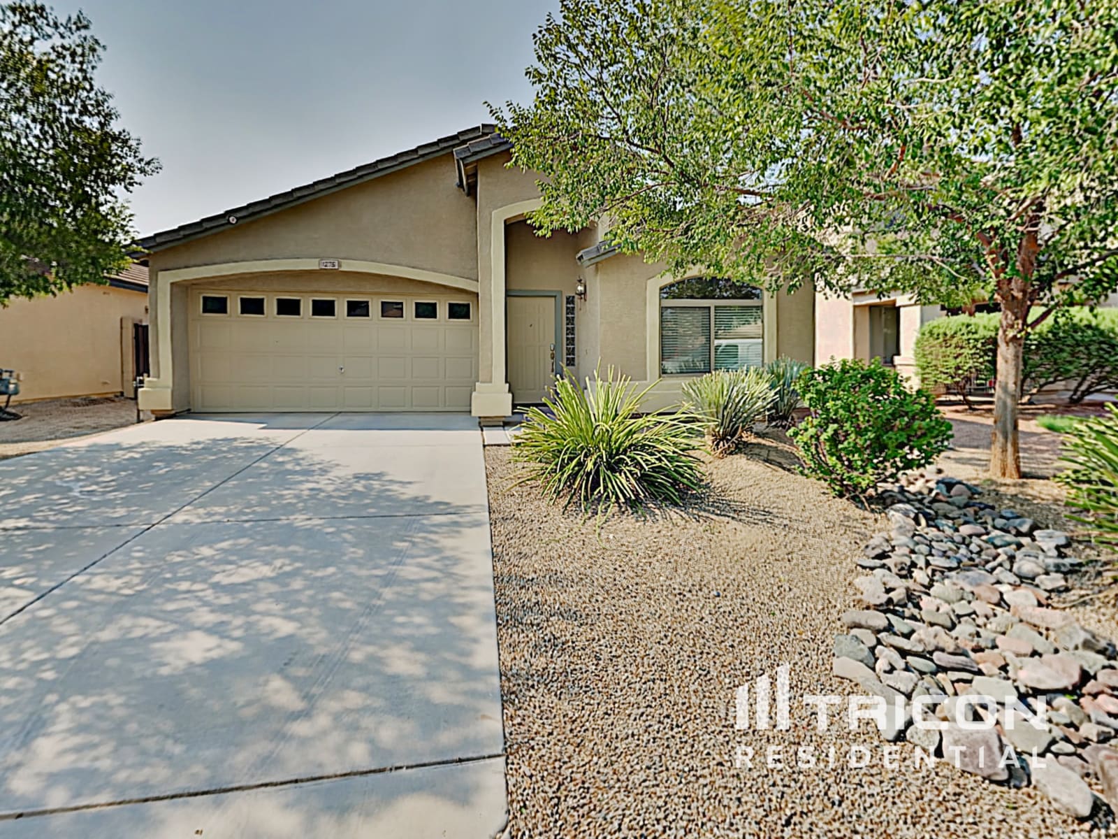 1275 E Shari Street San Tan Valley AZ