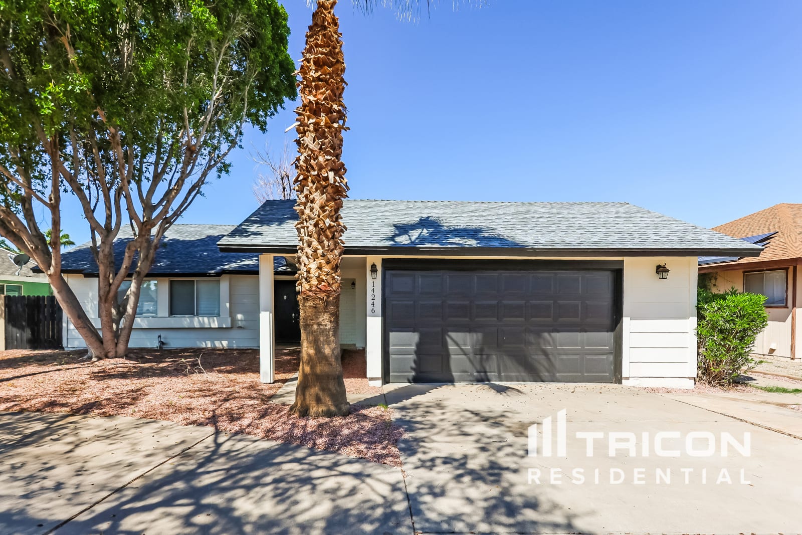 14246 N 41St Avenue N Phoenix AZ