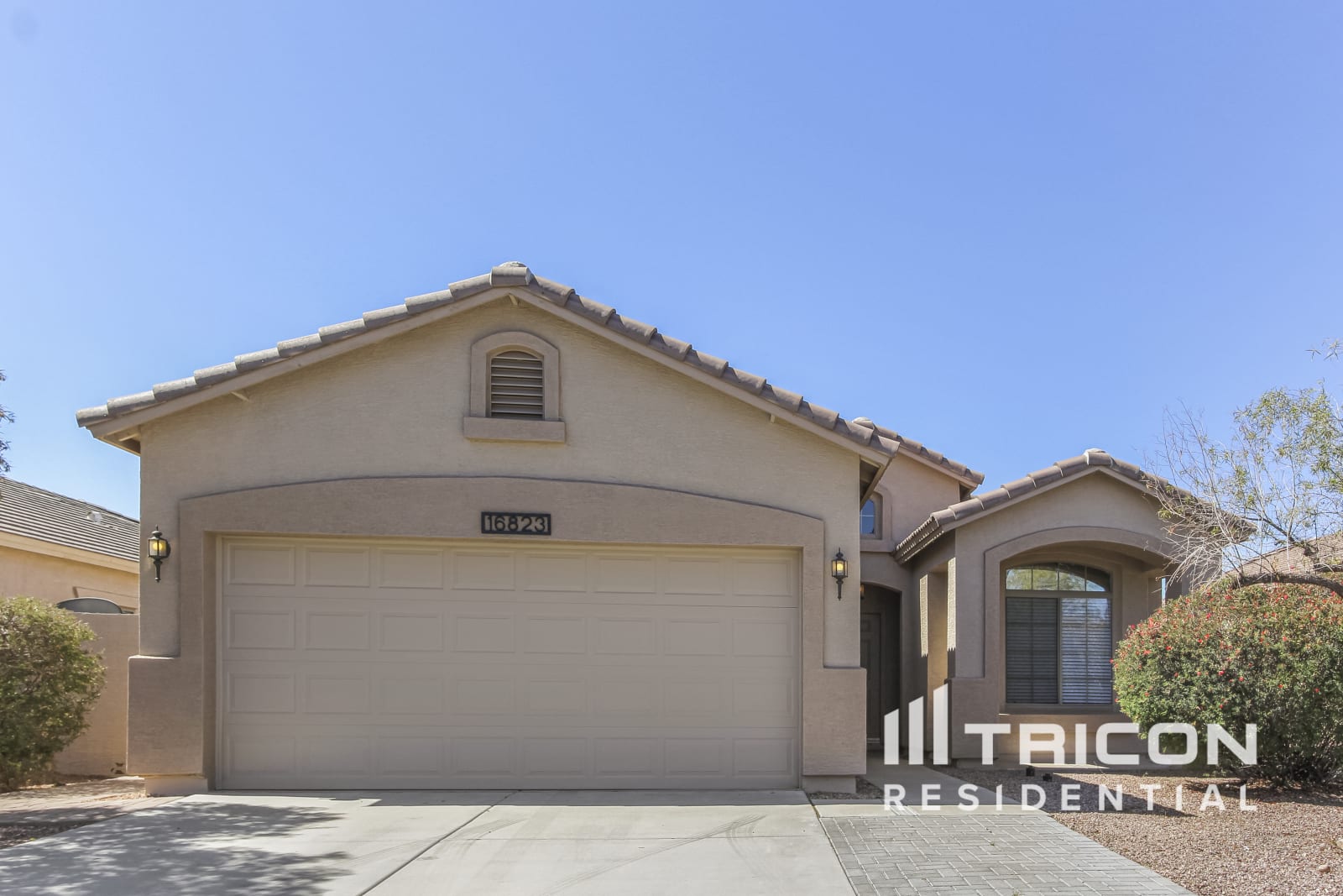 16823 W Cottonwood Street Surprise AZ