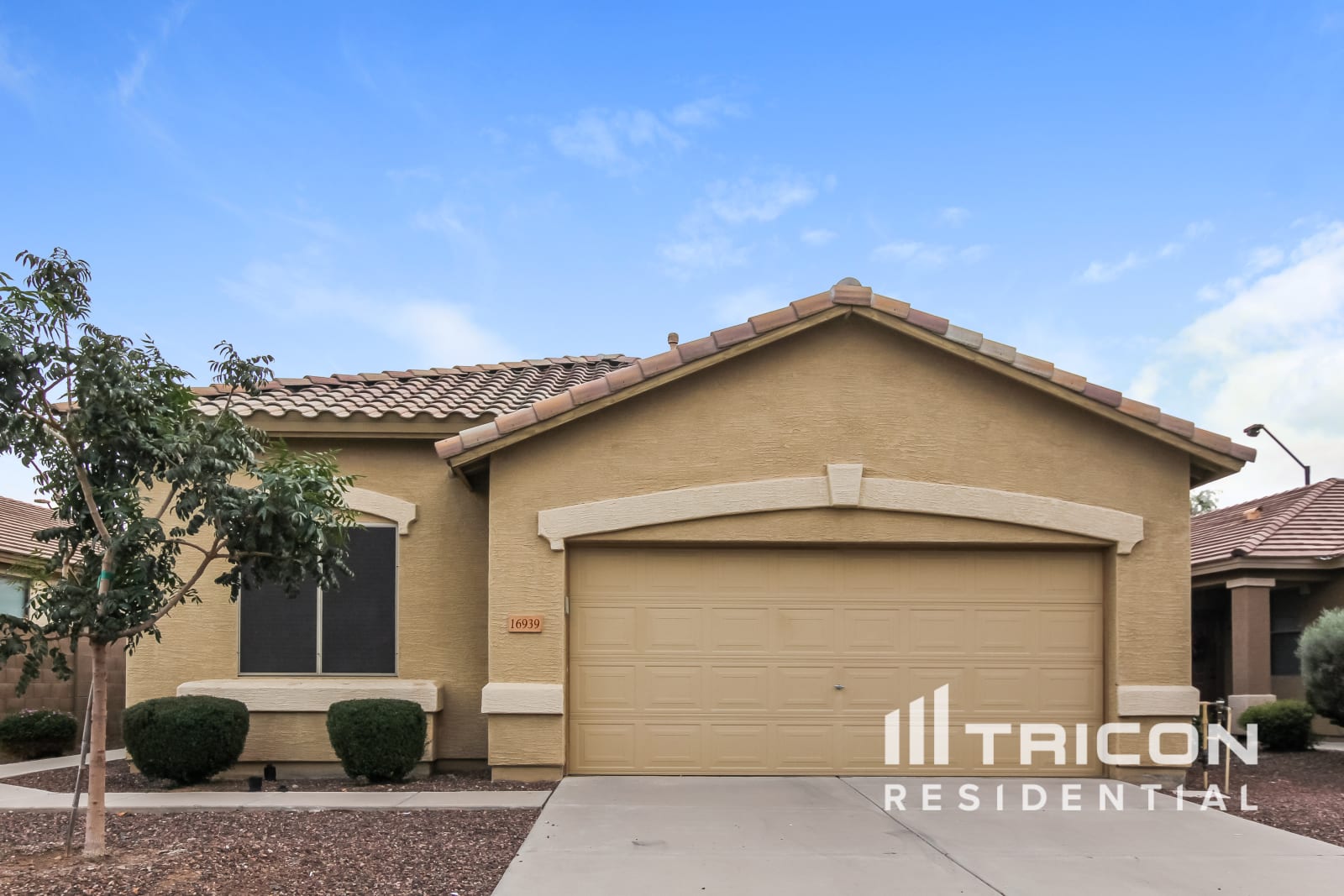 16939 W Young Street Surprise AZ