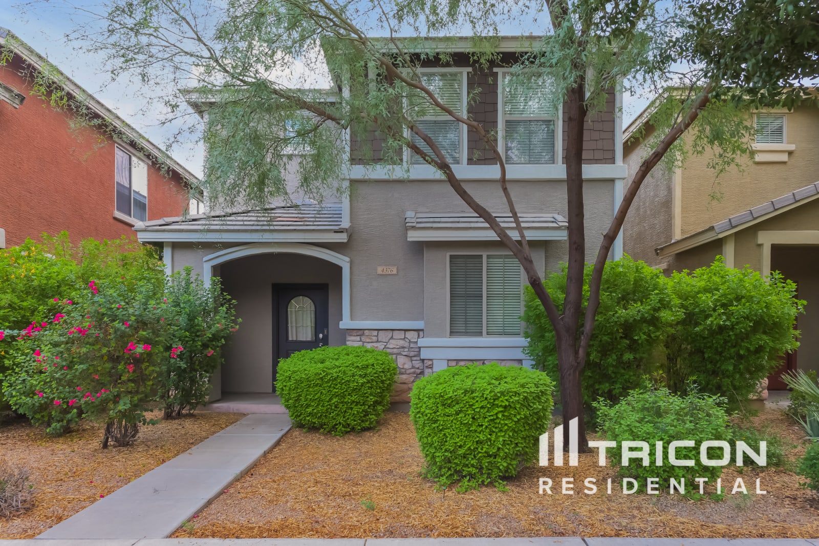 4376 E Selena Drive Phoenix AZ