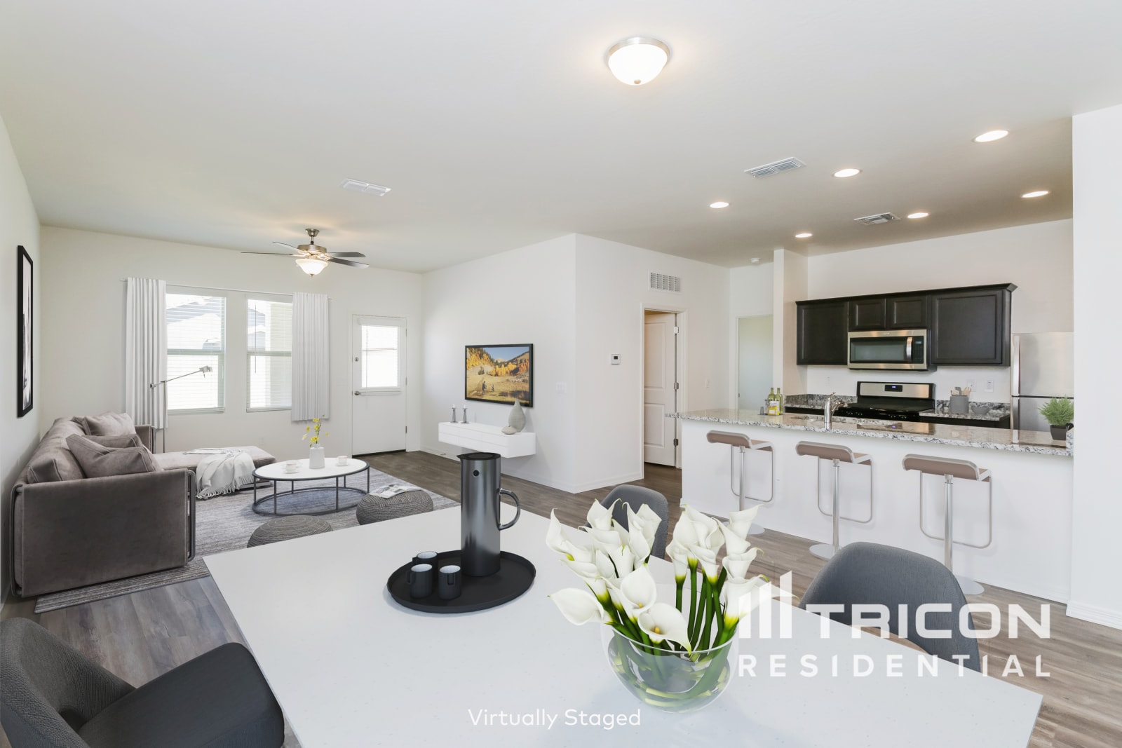 4578 W Saddlebush Way San Tan Valley AZ