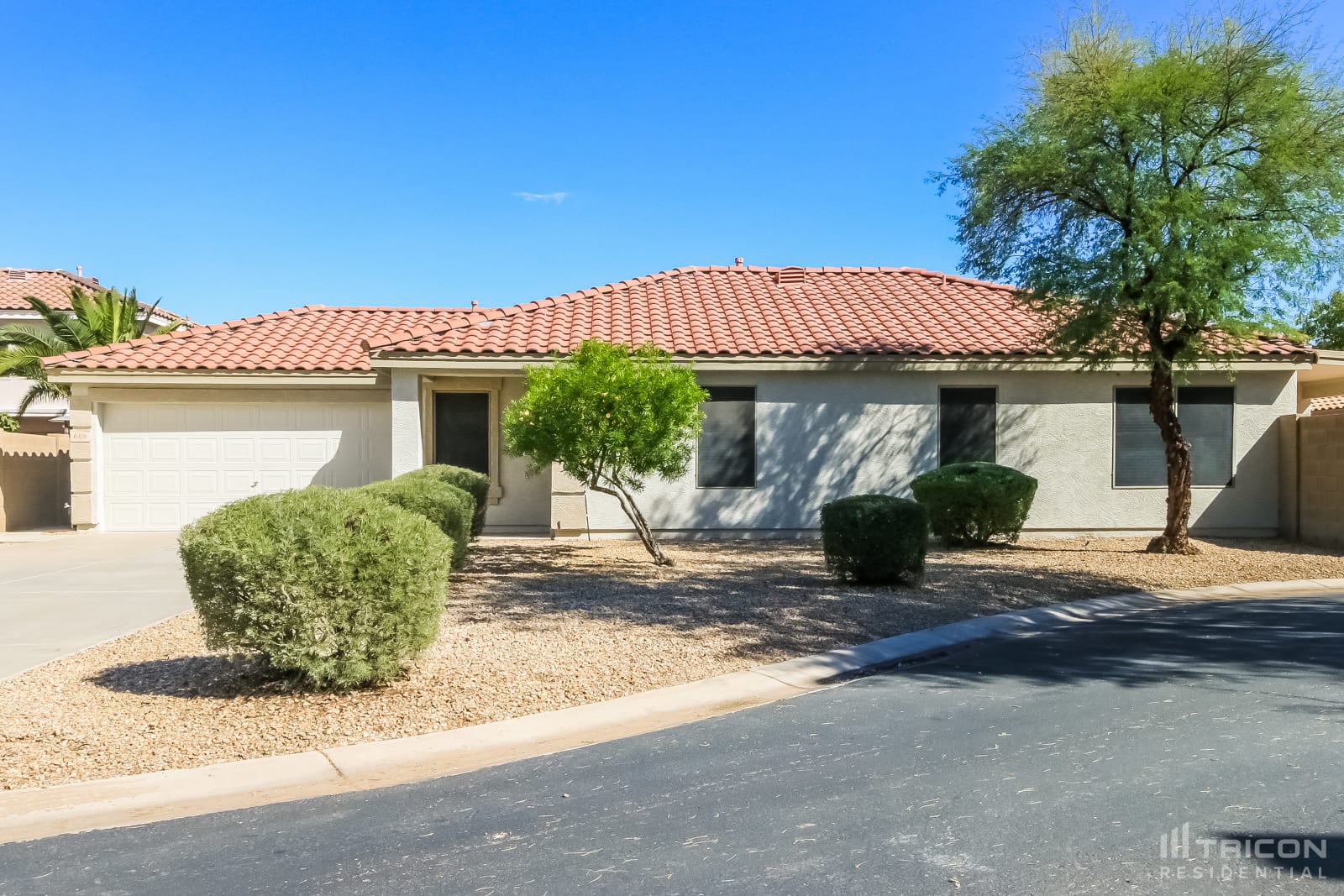 668 E Springfield Place Chandler AZ