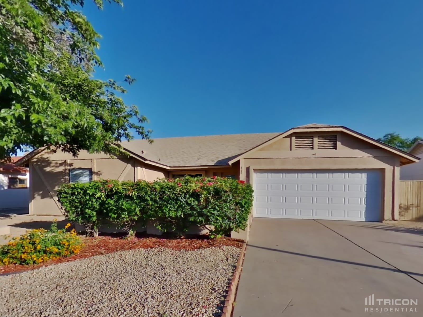669 W Barrow Drive Chandler AZ