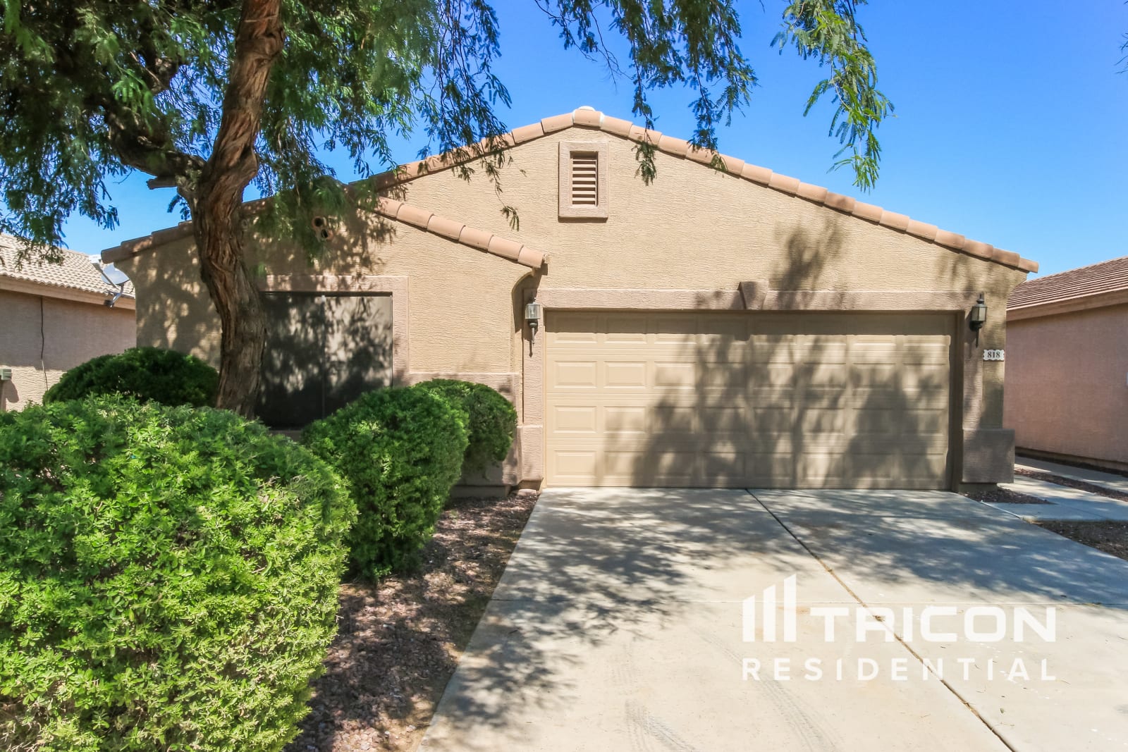 818 E Tucci Street San Tan Valley AZ