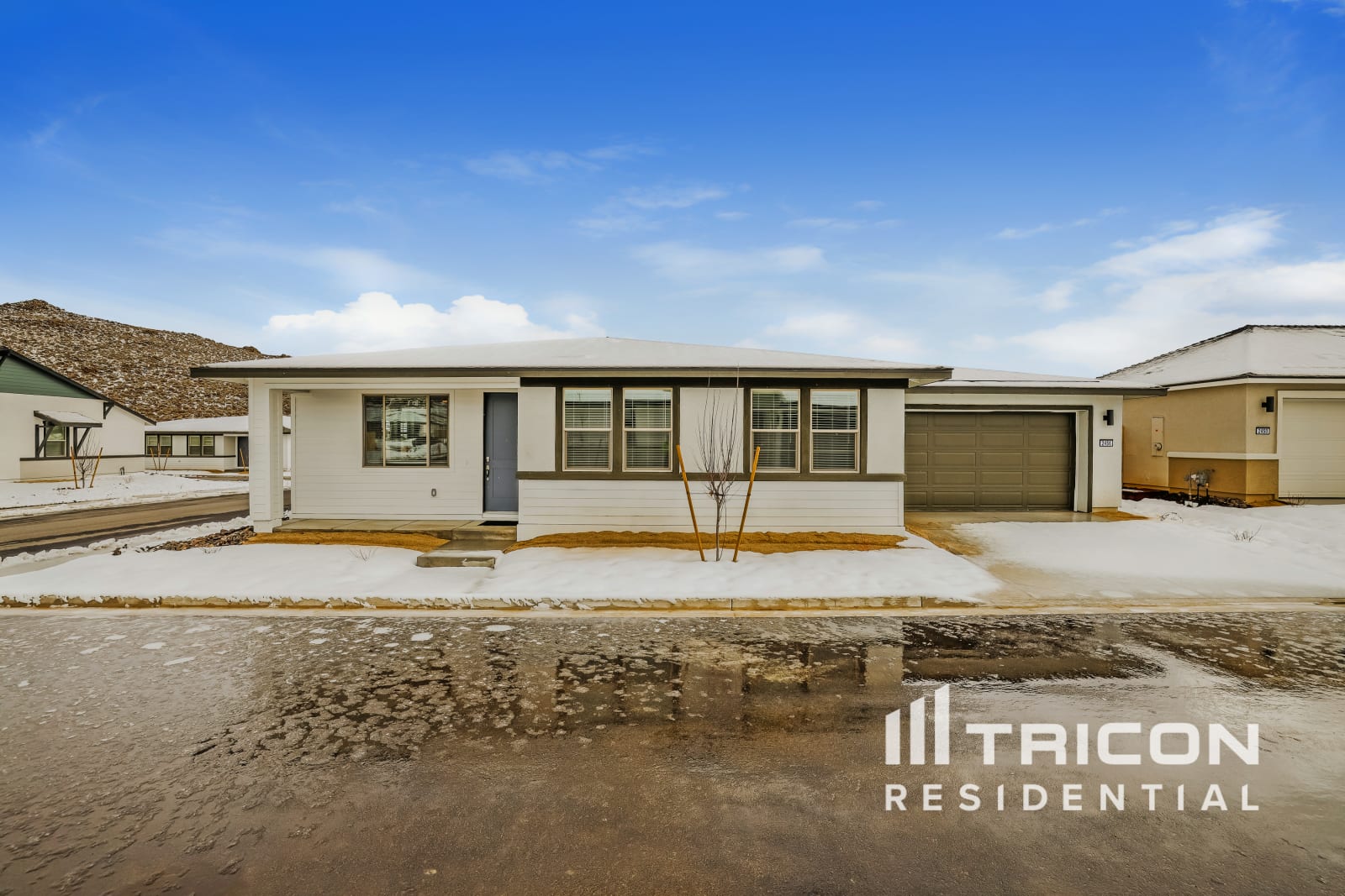 2456 Wolf Willow Court Reno NV