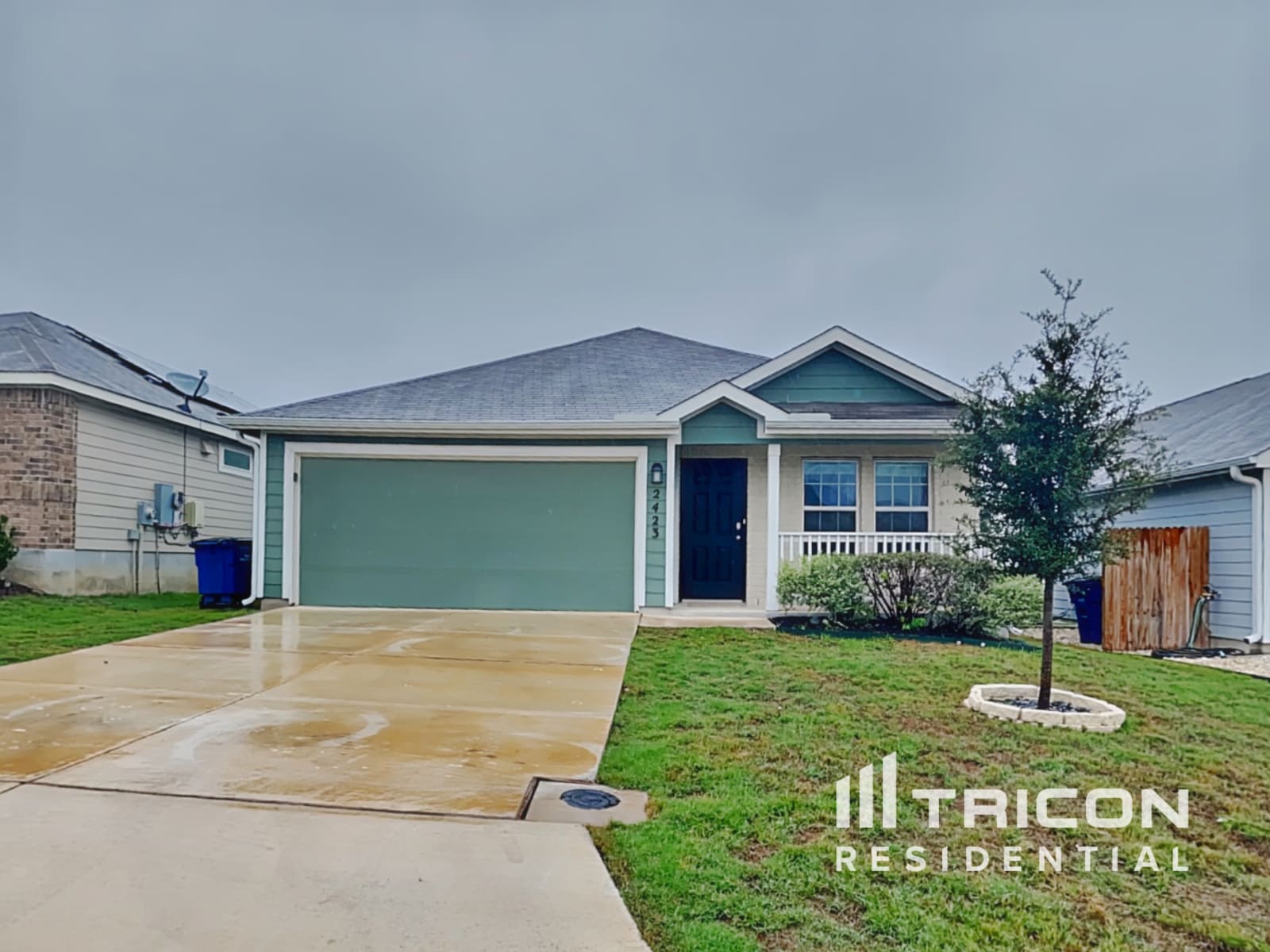 2423 Pechora Pipit New Braunfels TX