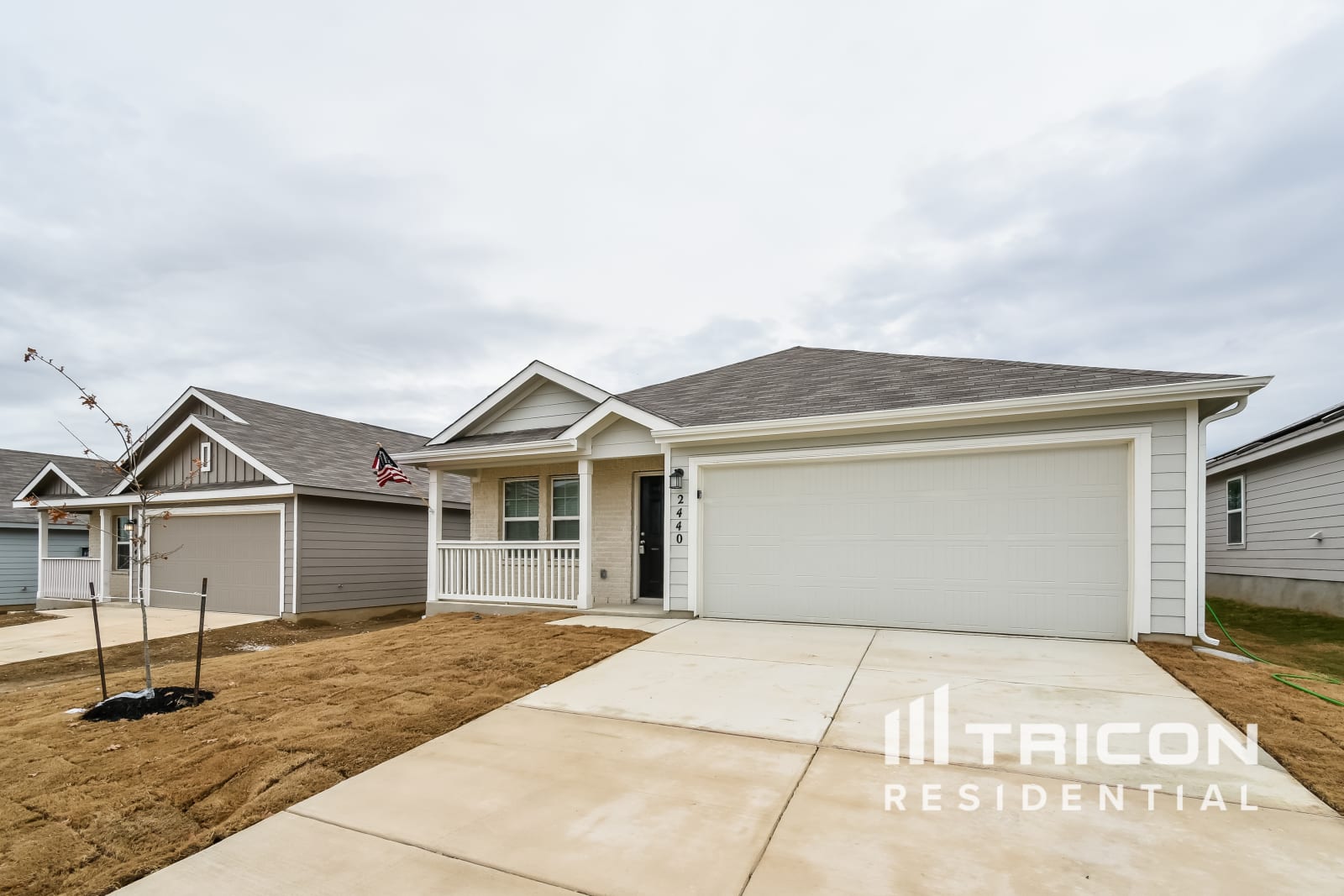 2440 Pechora Pipit New Braunfels TX