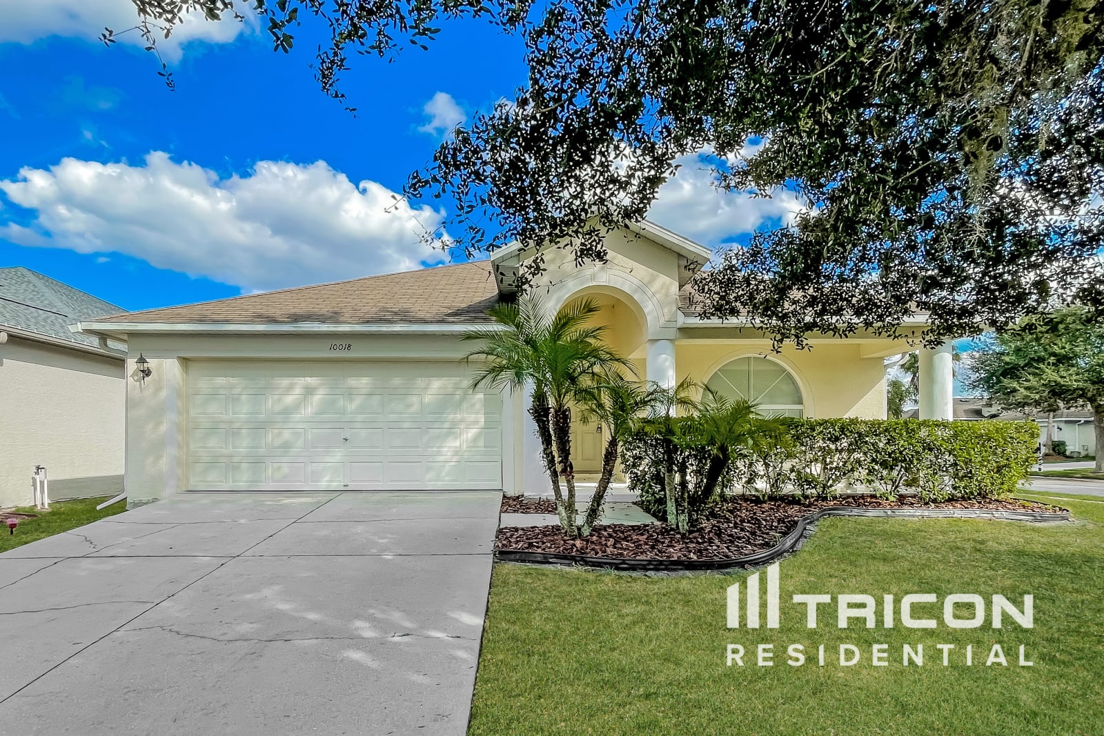10018 Coldwater Loop Land O Lakes FL