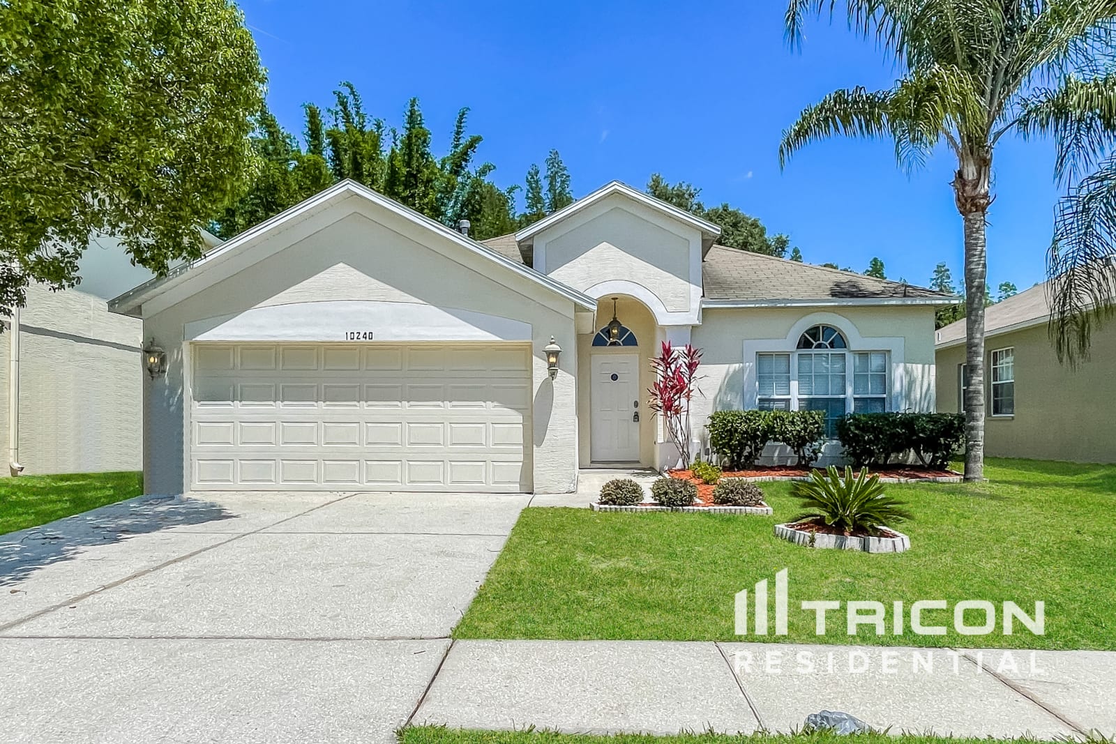 10240 Grant Creek Drive Tampa FL