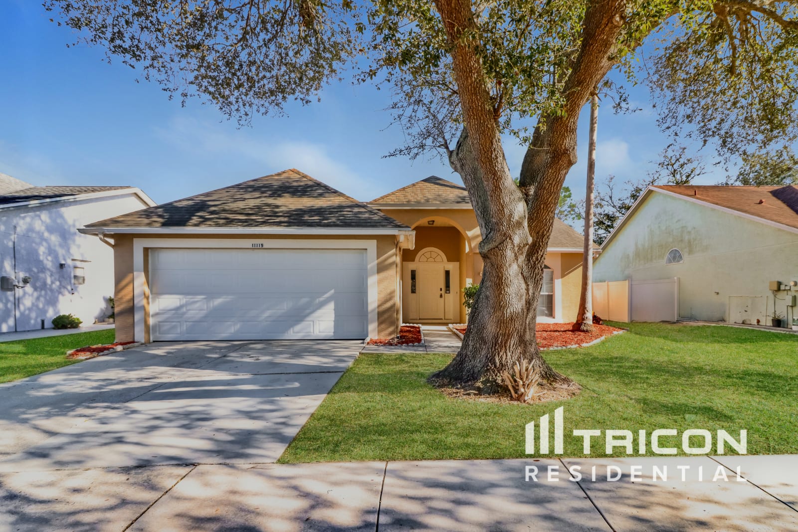 11119 Bramblebrush Street Tampa FL