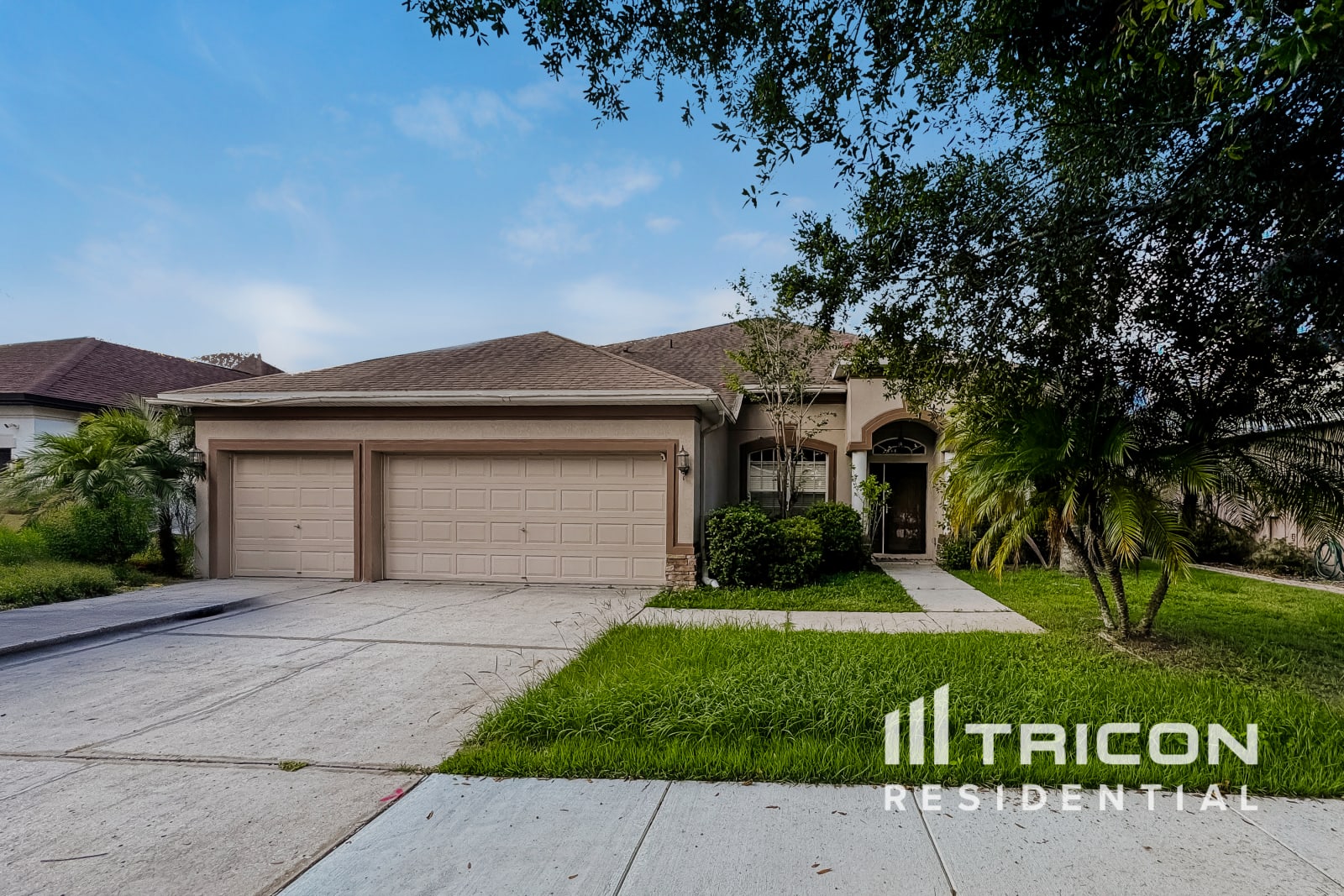 11767 Summer Springs Dr Riverview FL