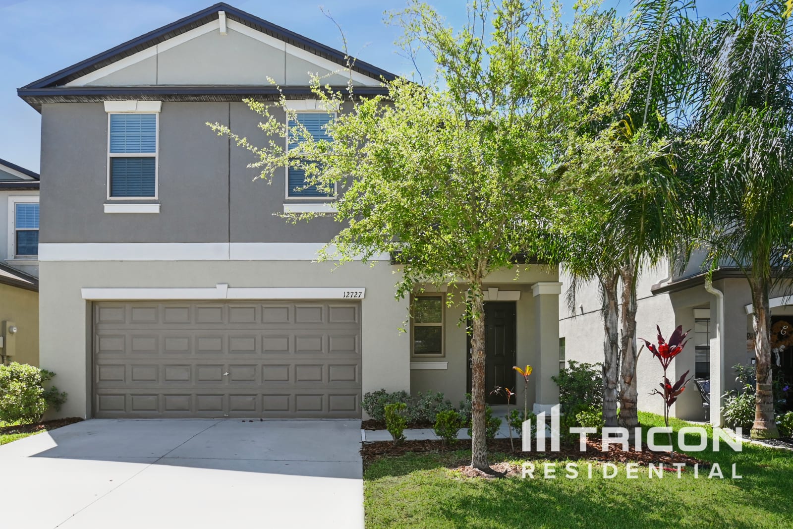 12727 Lemon Pepper Drive Riverview FL