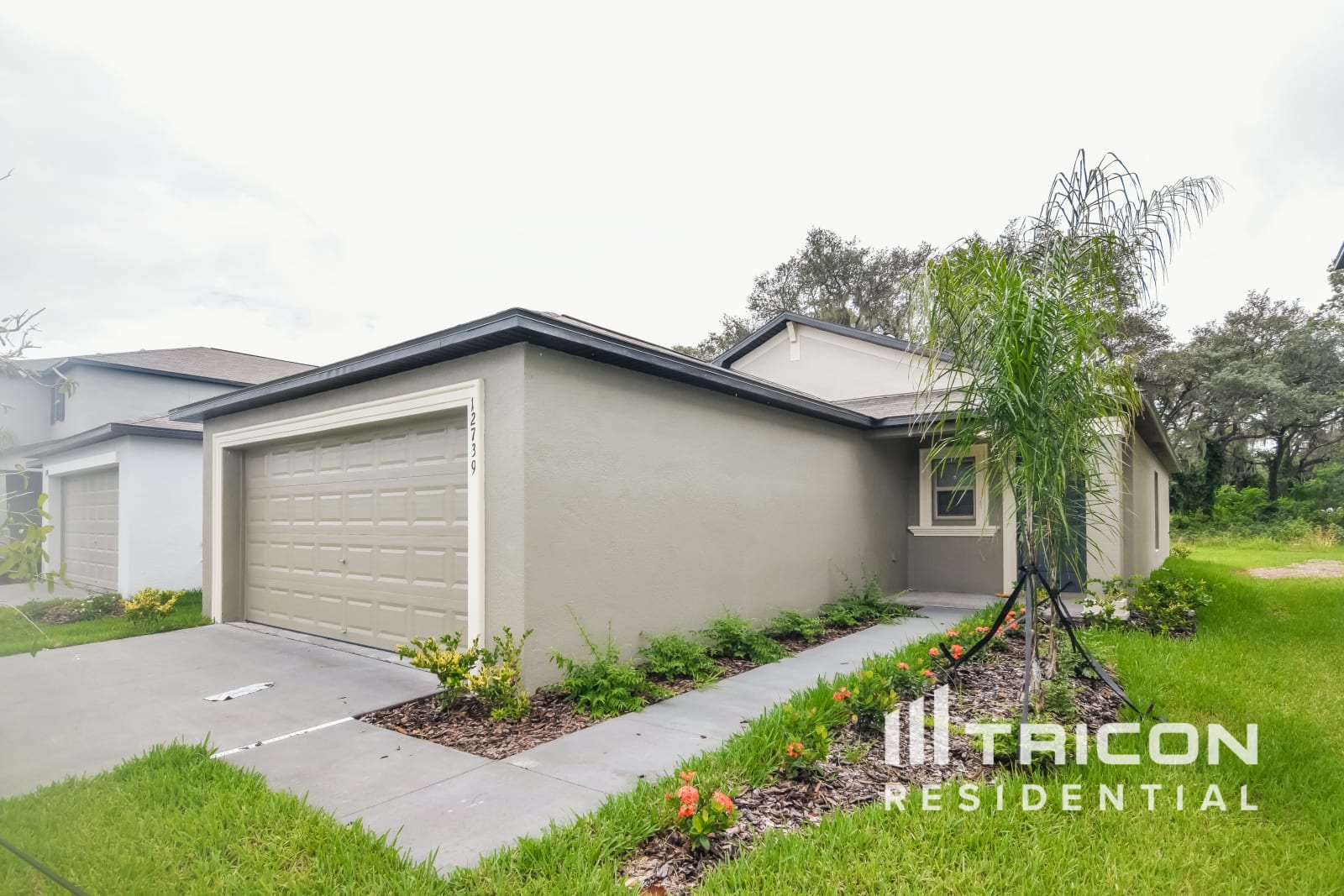 12739 Lemon Pepper Drive Riverview FL