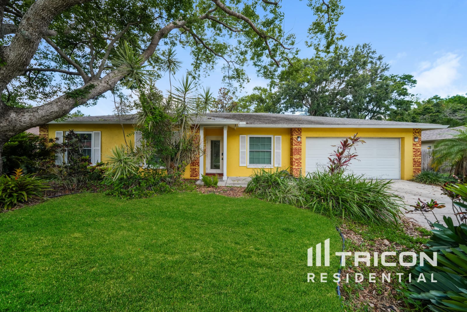 13308 Lake George Lane Tampa FL