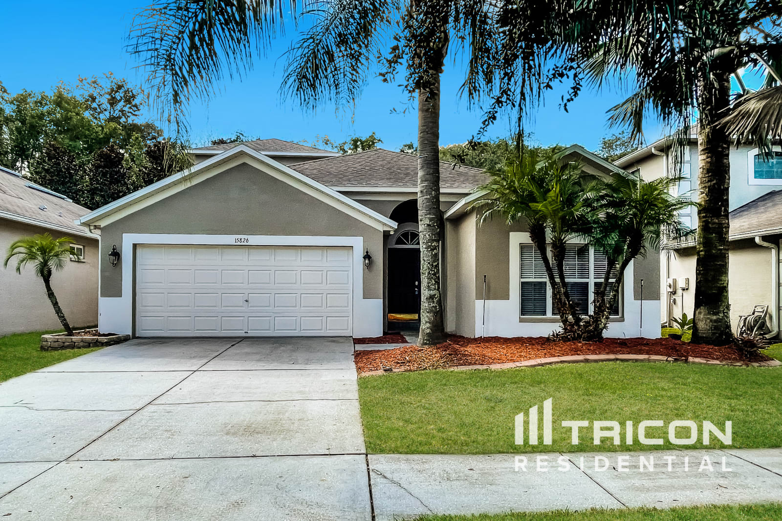 15826 Cedar Elm Terrace Land O Lakes FL