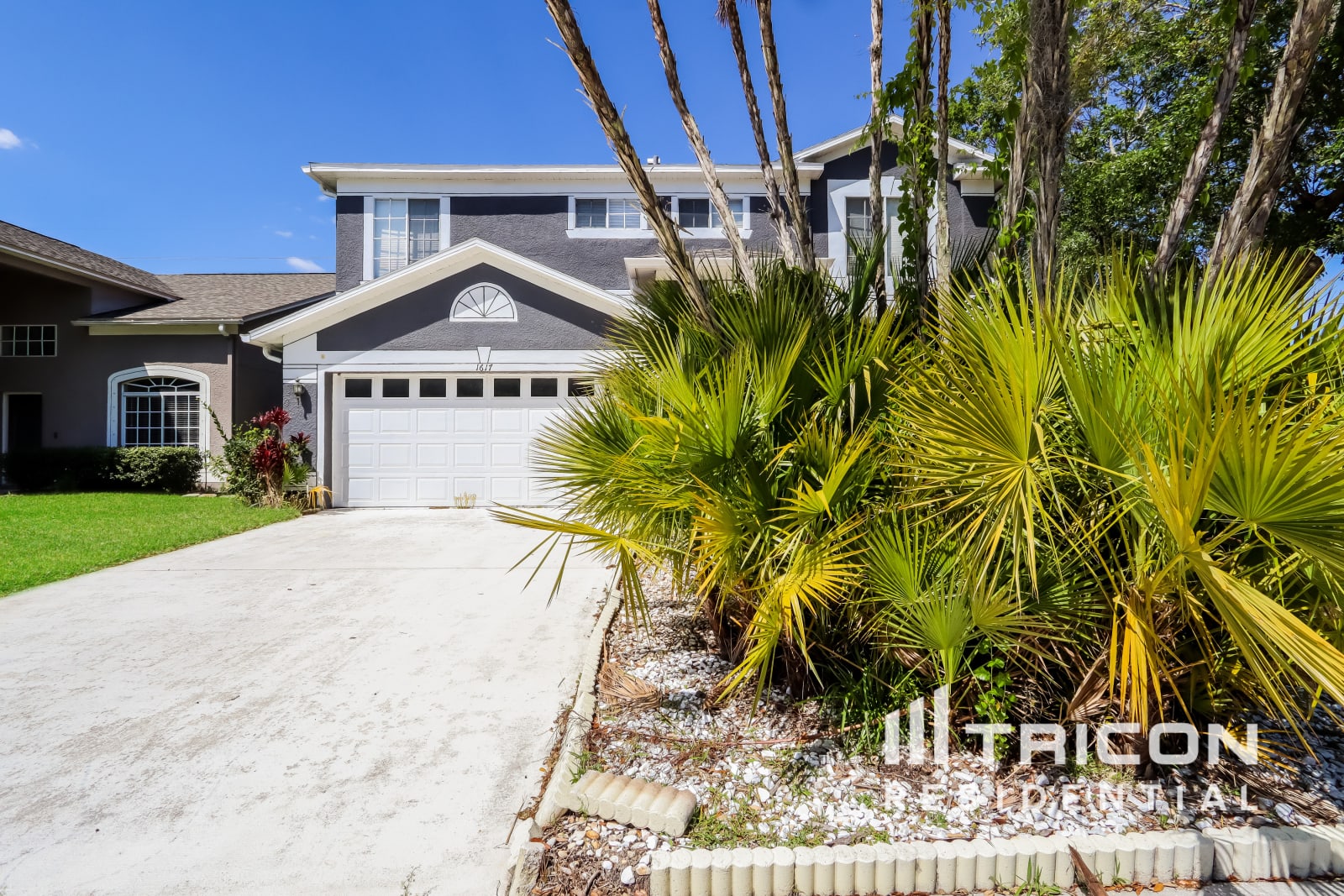 1617 Gray Bark Drive Oldsmar FL