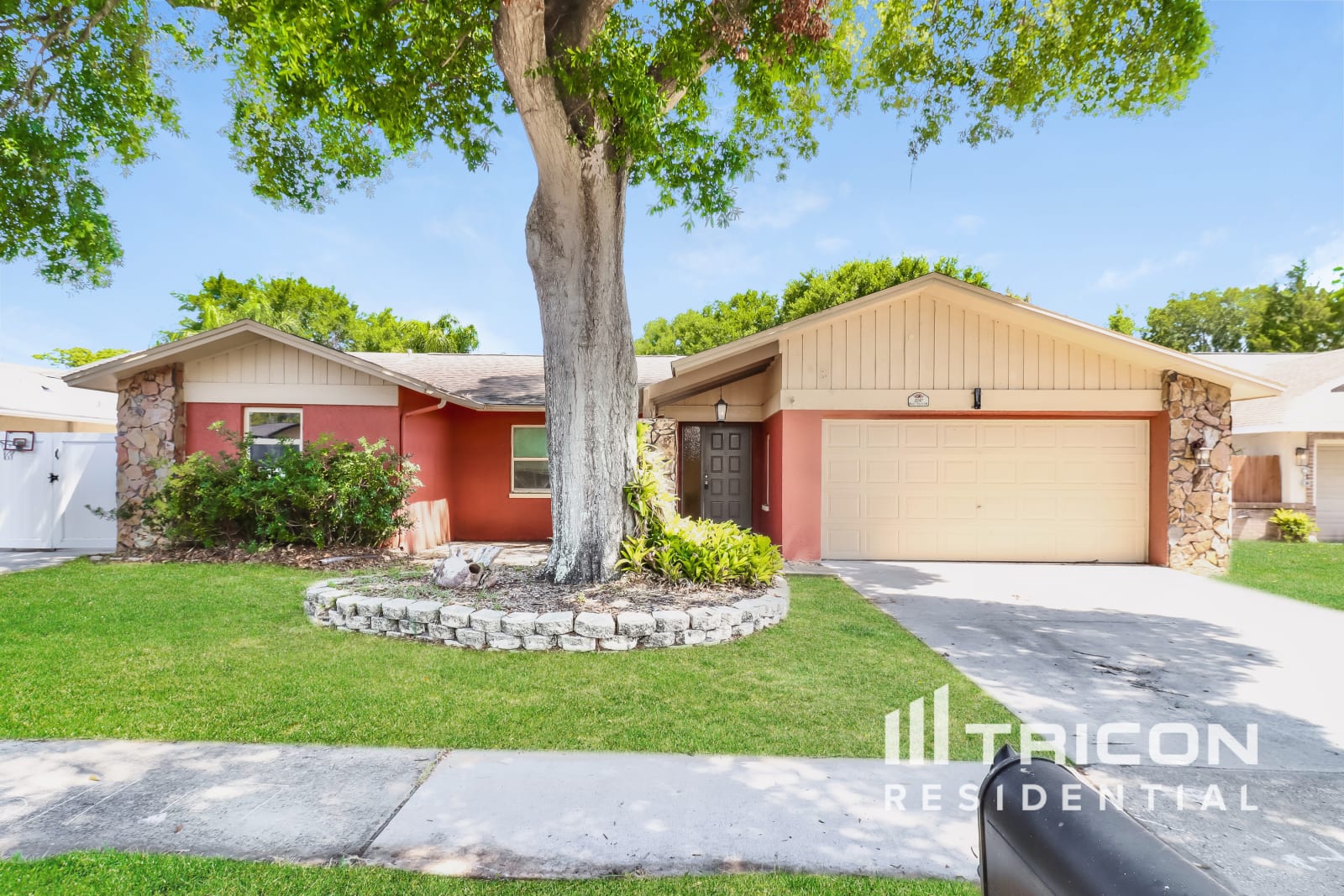 2247 Blue Tern Drive Palm Harbor FL