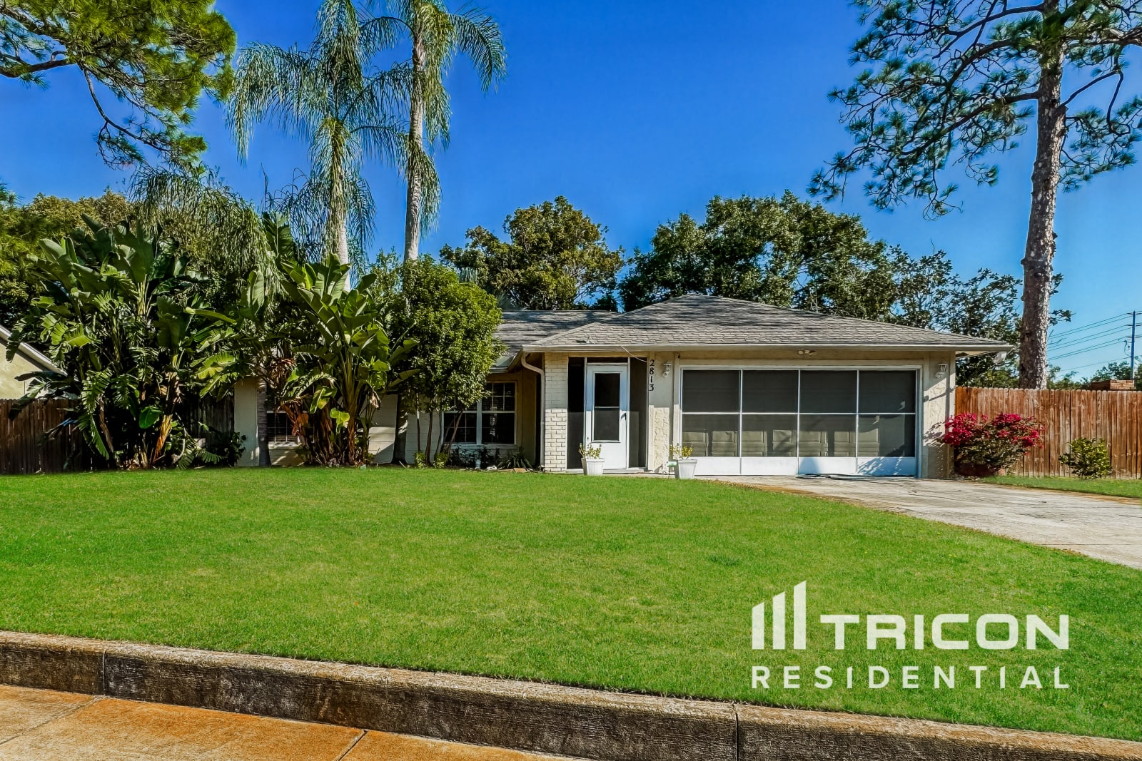 2813 Woodhall Terrace Palm Harbor FL