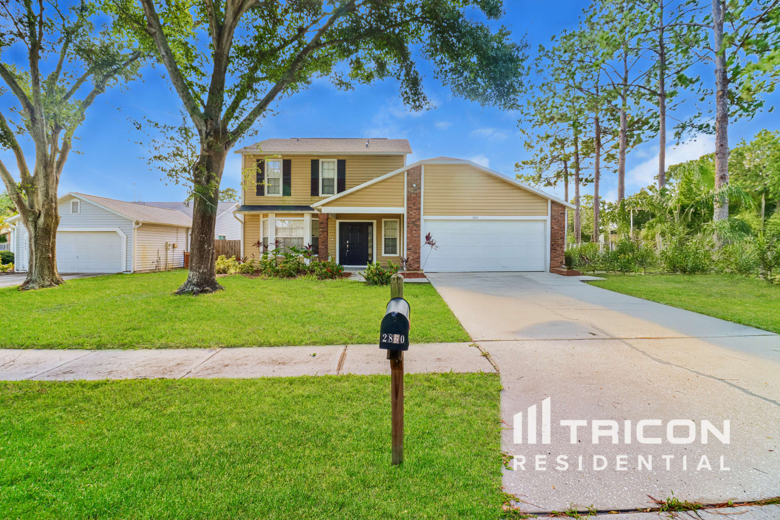 2860 Denmarsh Ct Palm Harbor FL