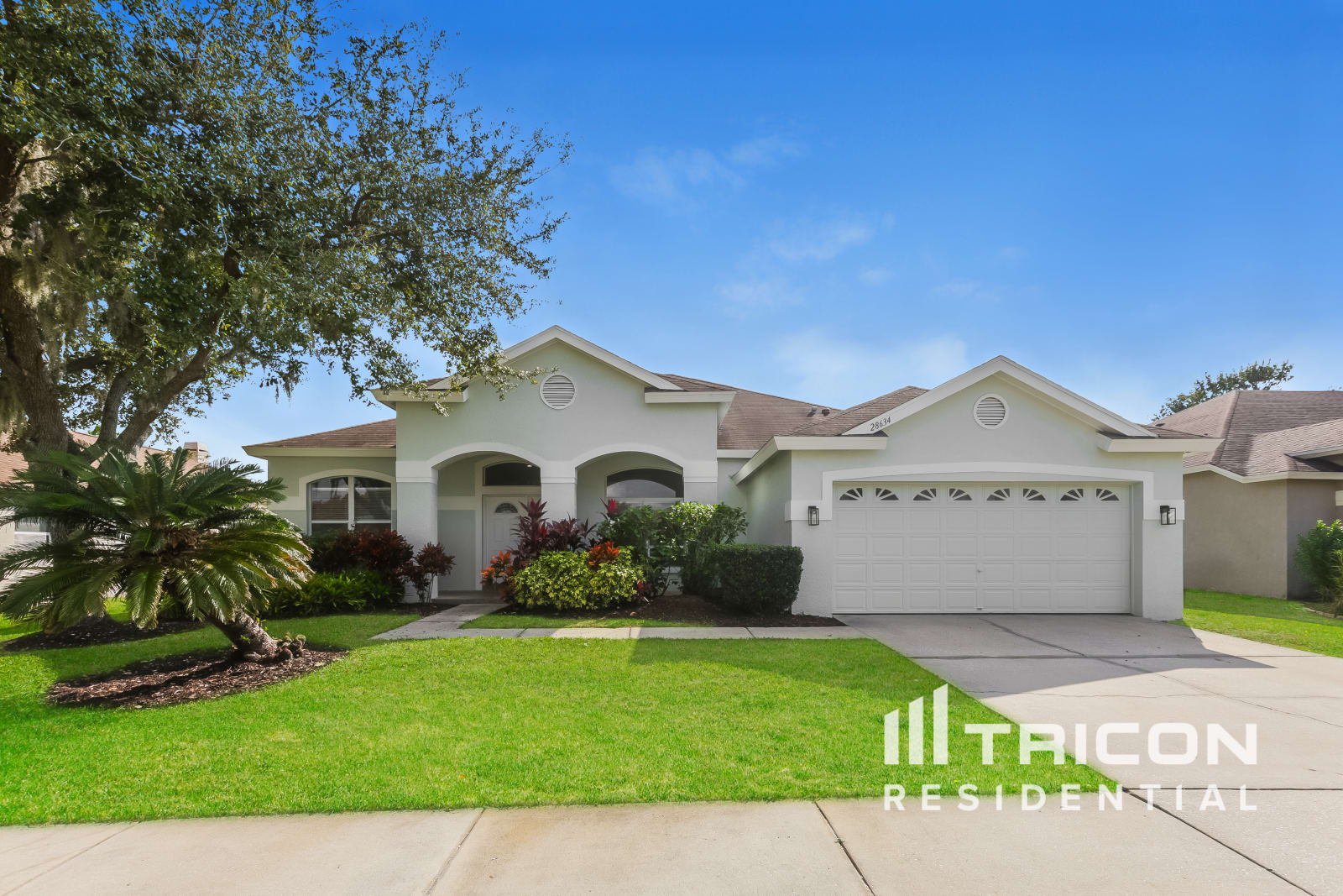 28634 Hanging Moss Loop Wesley Chapel FL