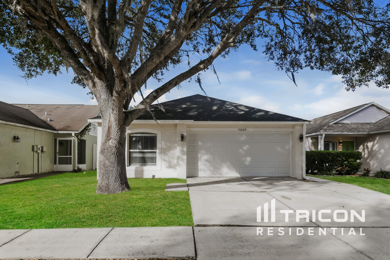 30229 Double Drive Wesley Chapel FL