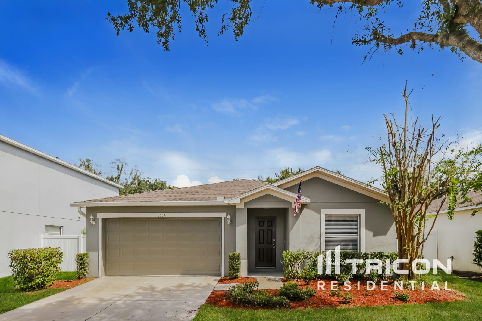 30801 Temple Stand Avenue Wesley Chapel FL