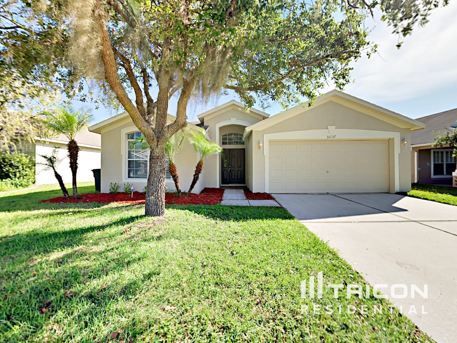 31137 Chatterly Drive Wesley Chapel FL