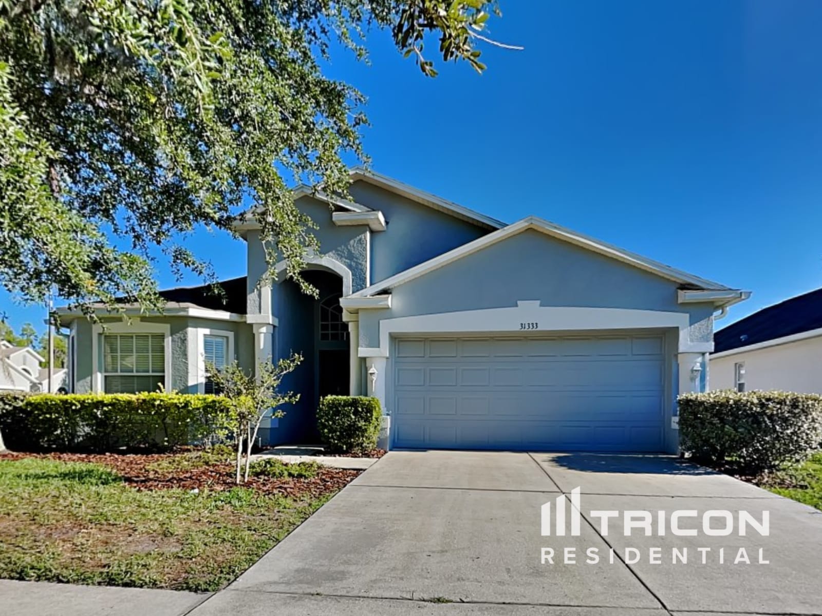 31333 Heatherstone Drive Wesley Chapel FL