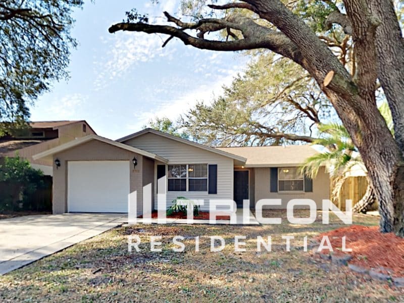 3311 Russett Drive Tampa FL