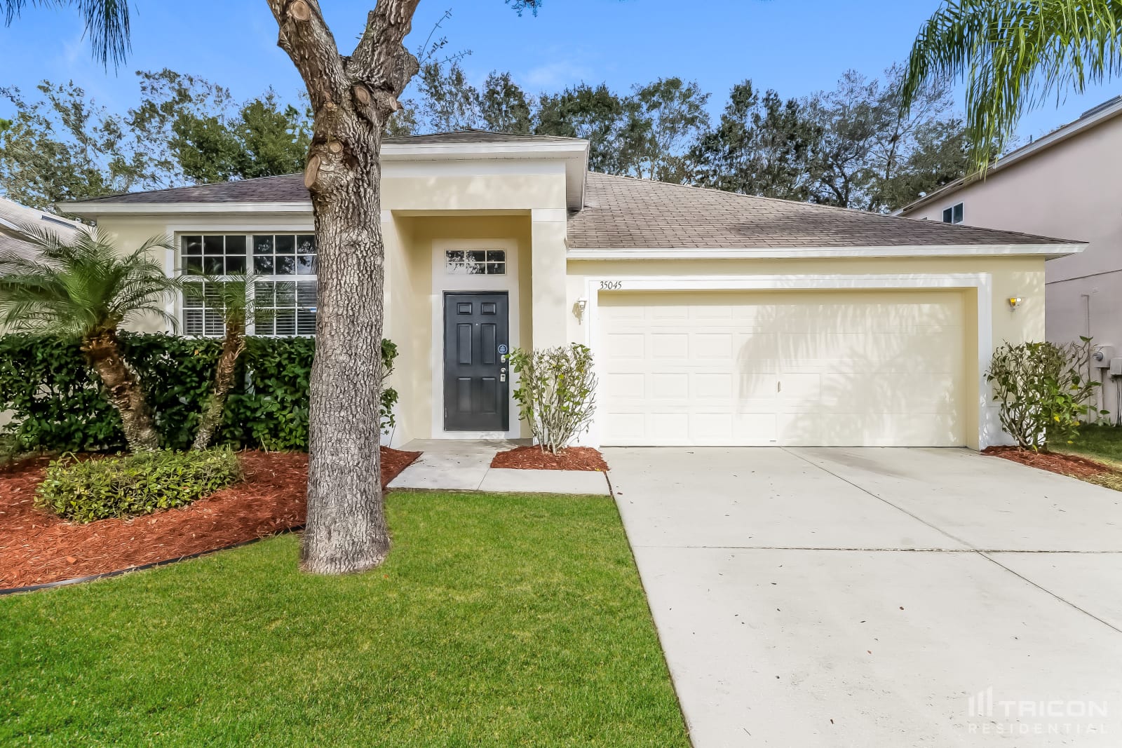 35045 Meadow Reach Drive Zephyrhills FL