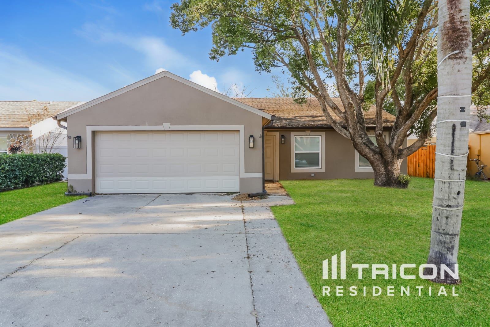 3677 Montclair Drive Palm Harbor FL