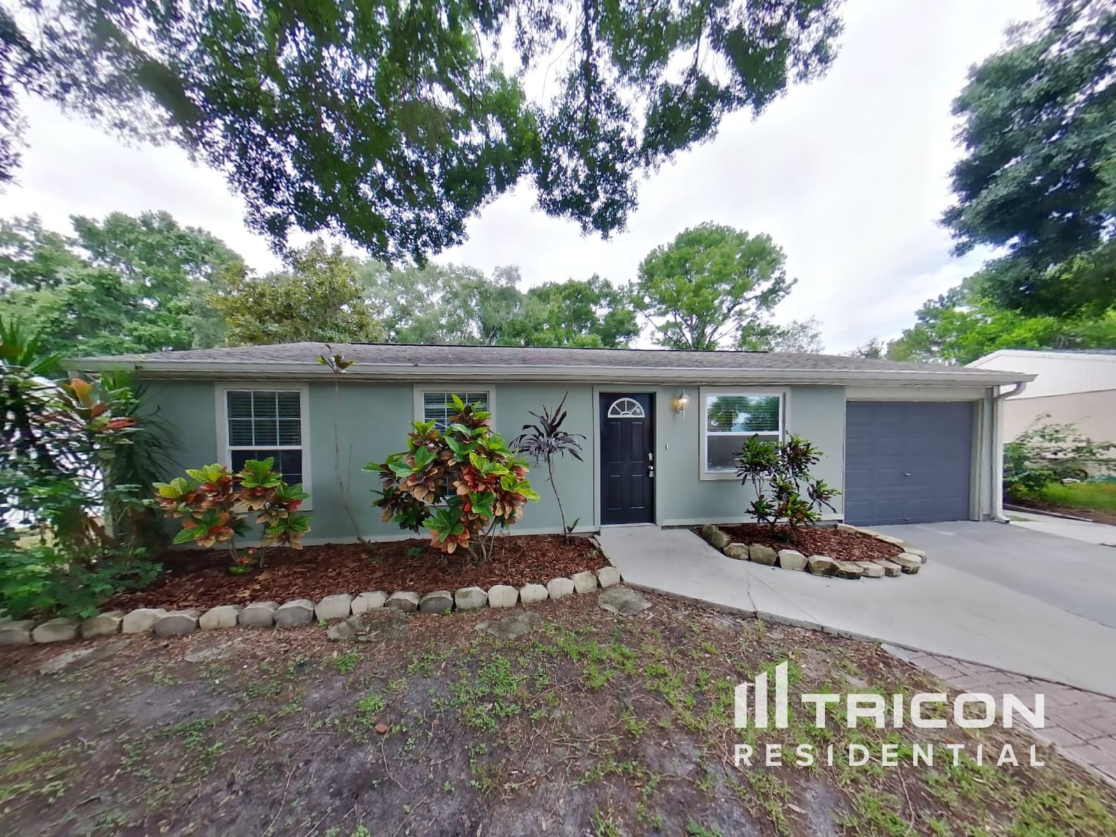 626 Timber Bay Circle W Oldsmar FL