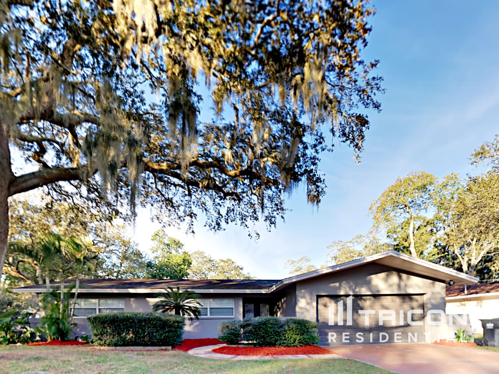 7102 Woodfield Drive Tampa FL